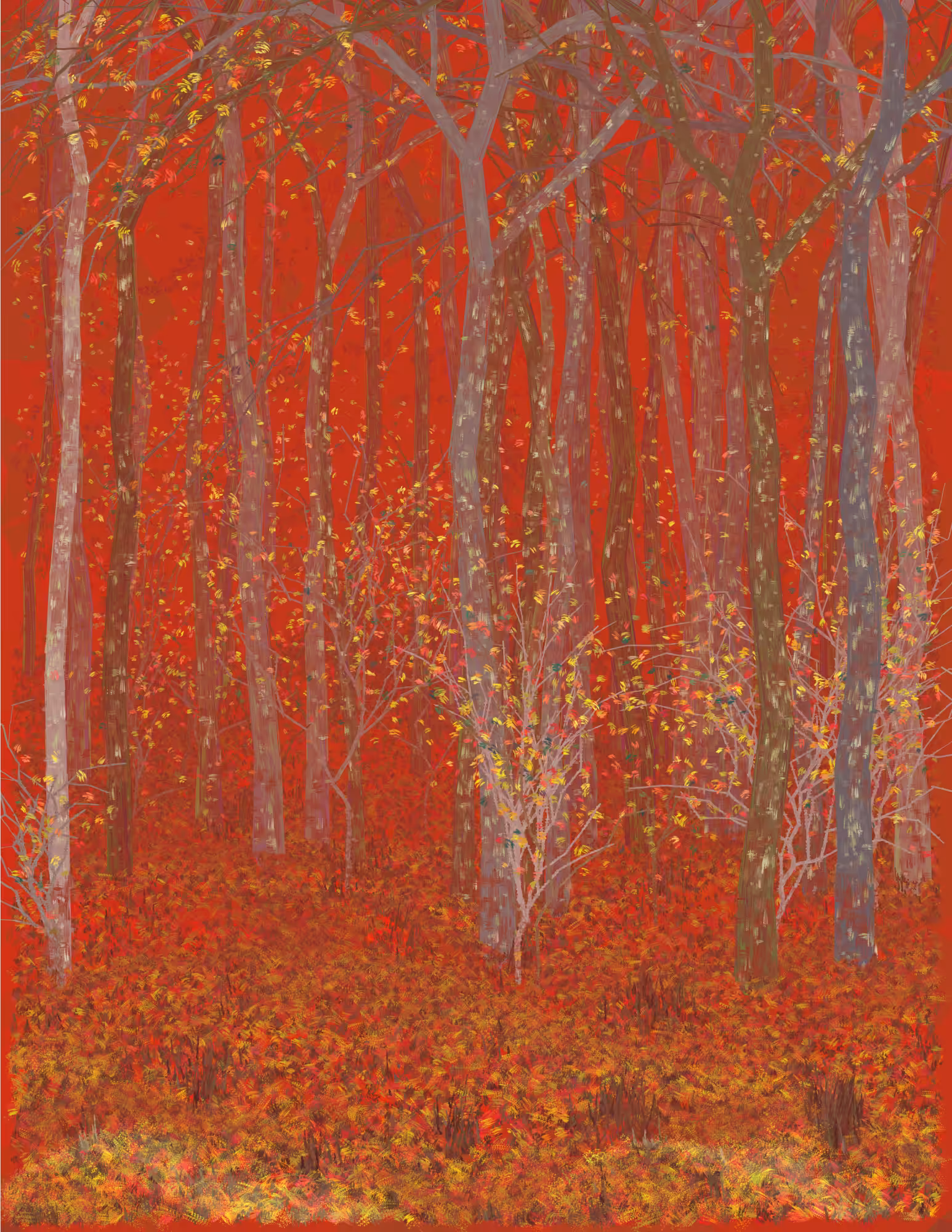 Deep Forest #306
