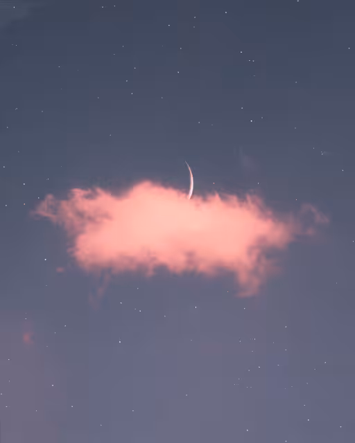 My Moons and Stars #78