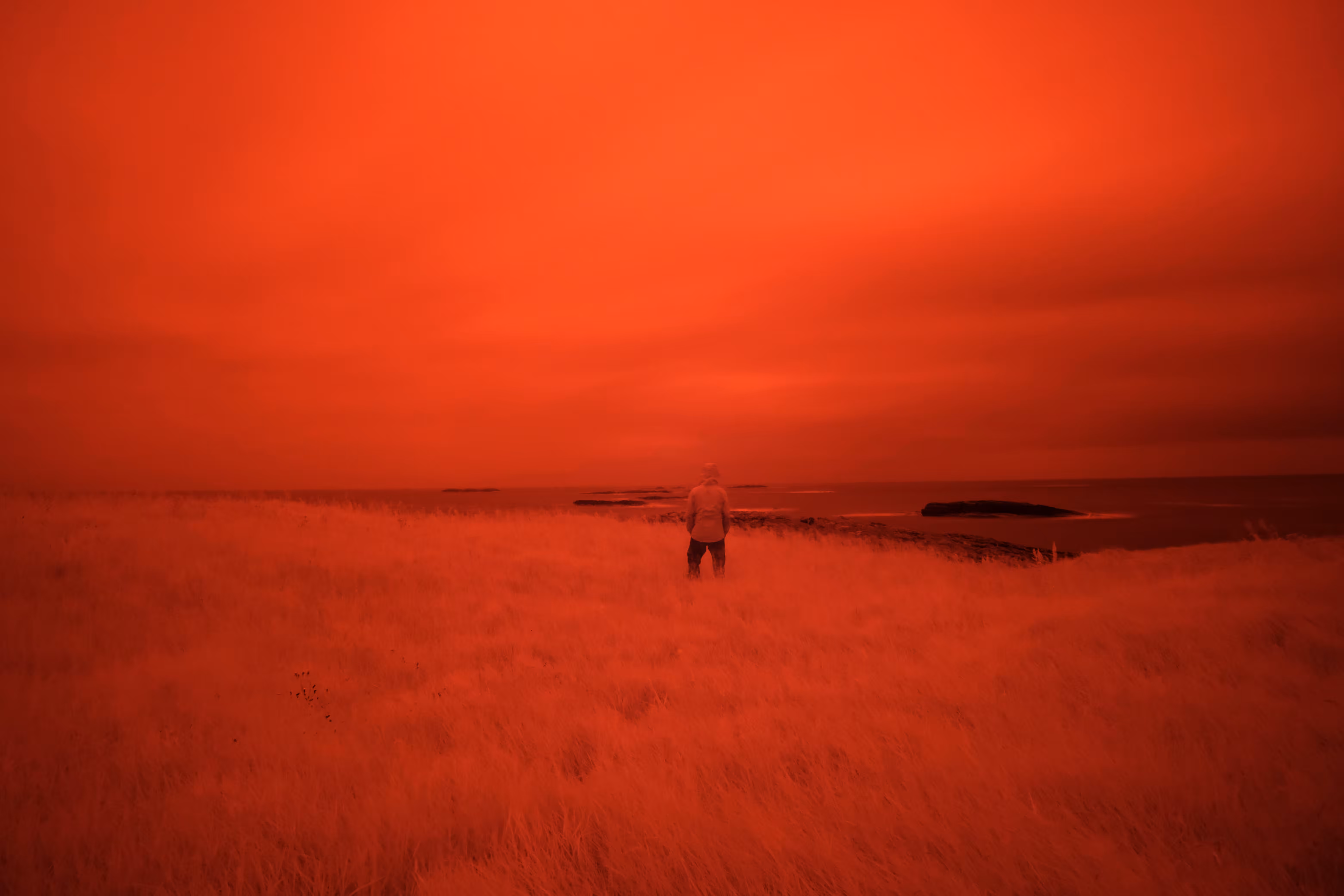 RED FRAMES #5