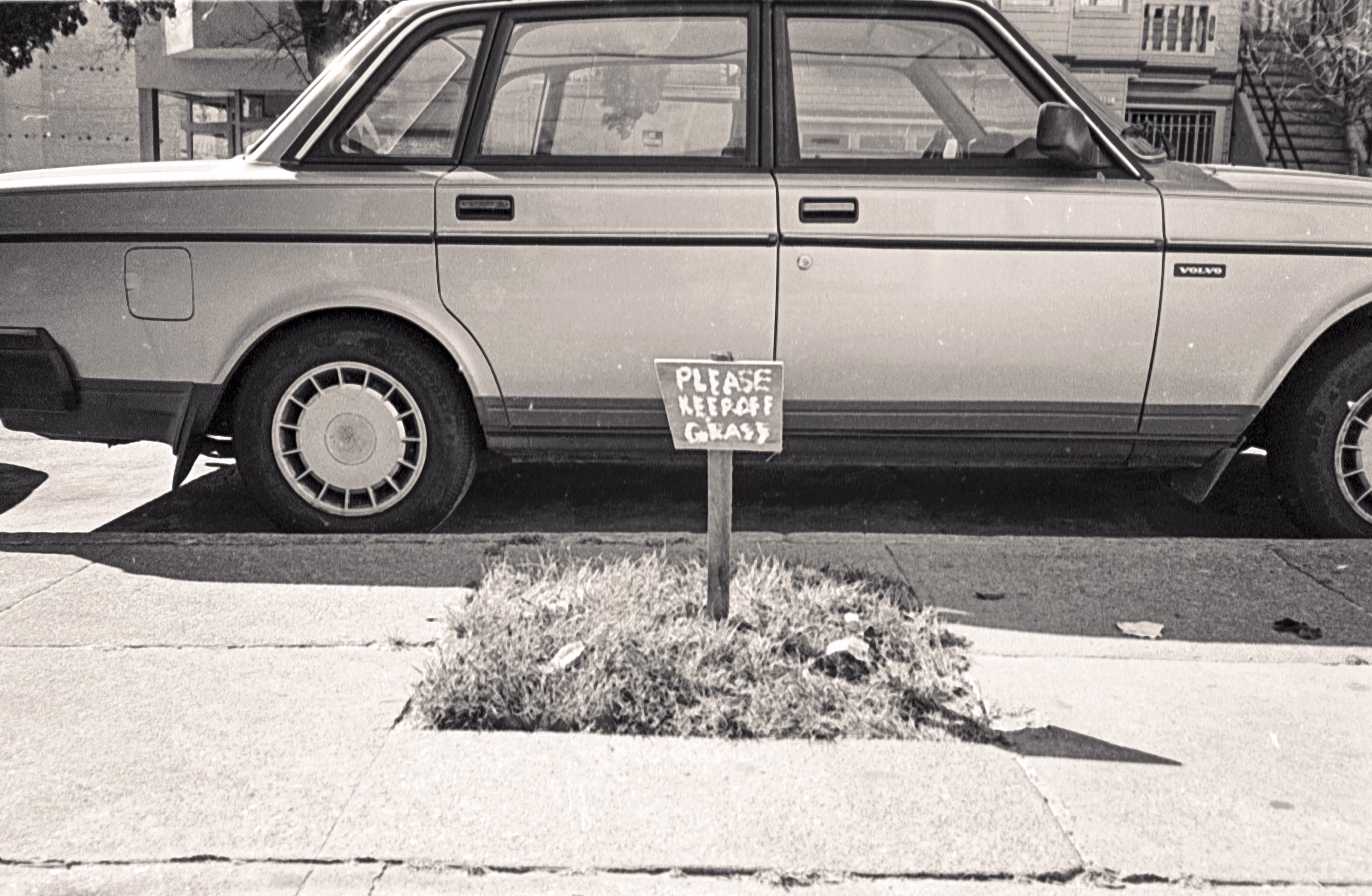 Please Keep Off Grass (Remastered)