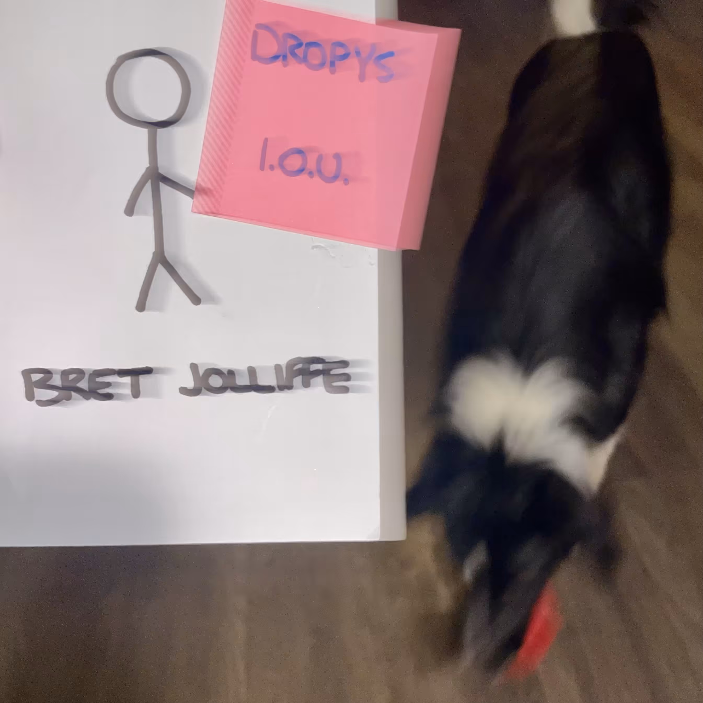 Dropys