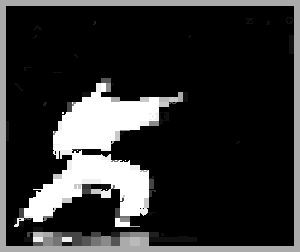 R4NDM5: KARATEKA