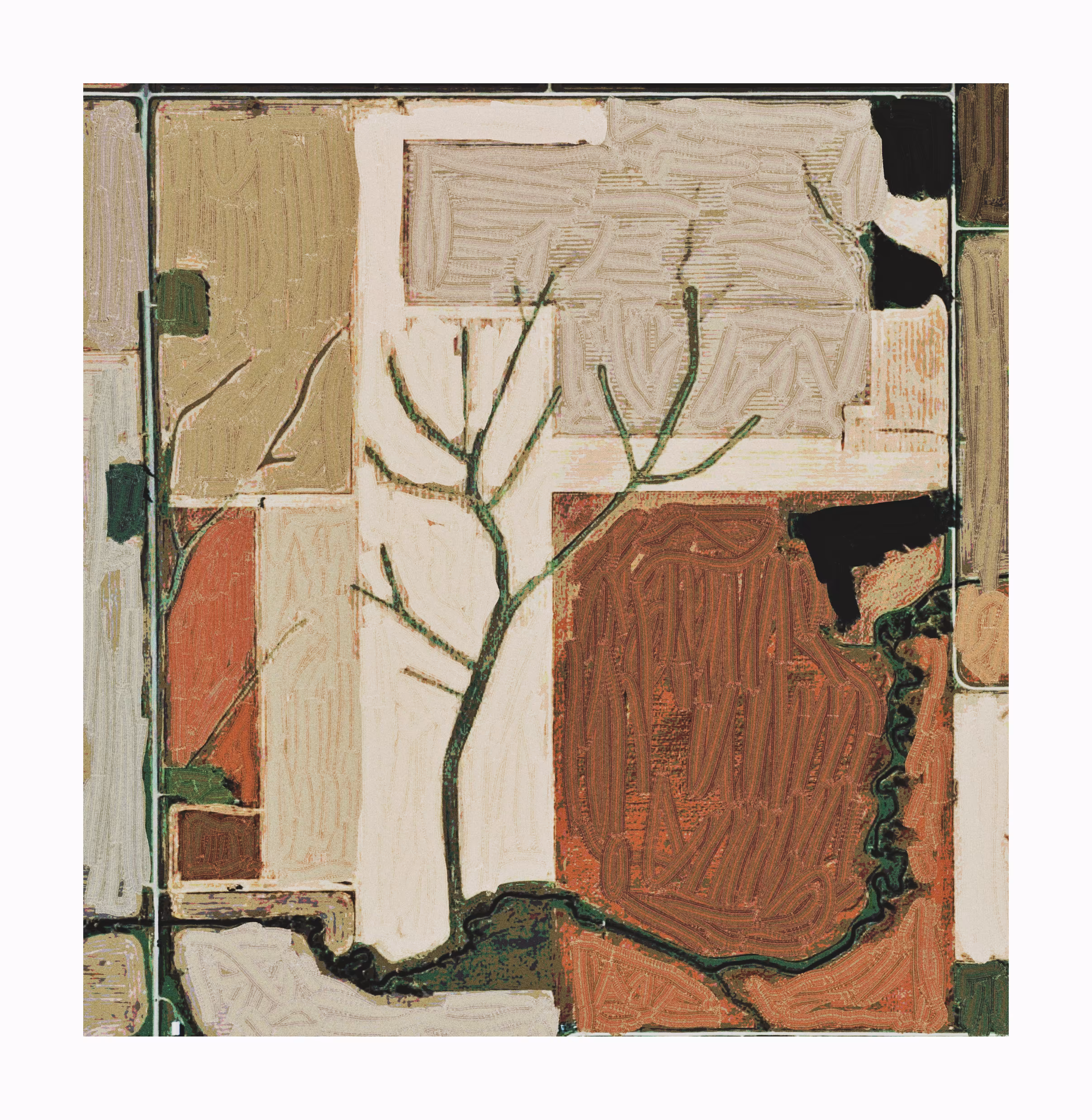 Shapes fd646r
