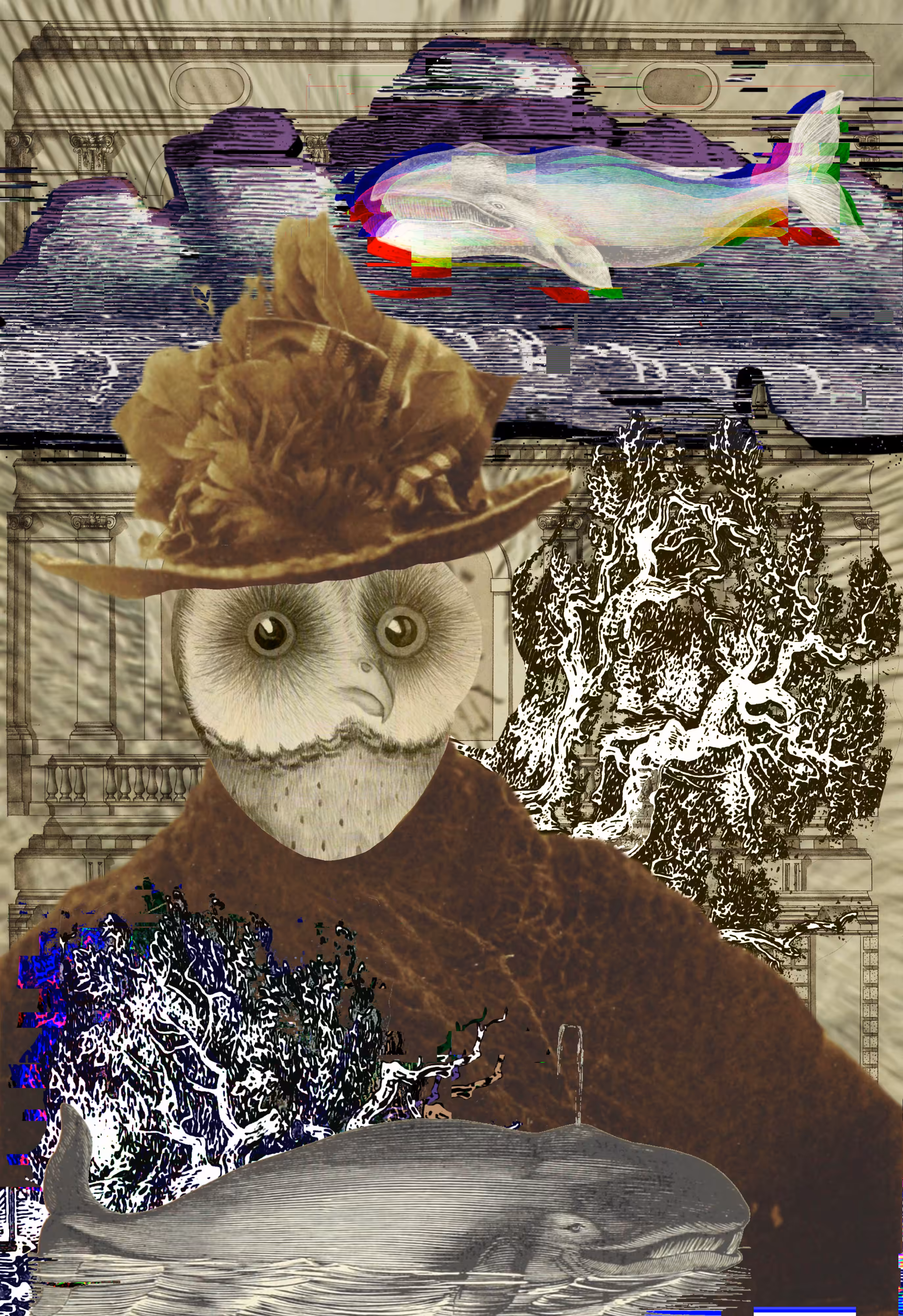 Owl Lady of Whales