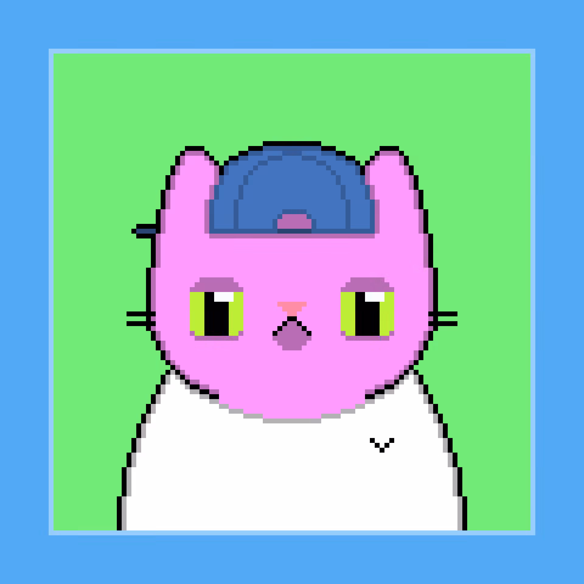 Digi Kat #2