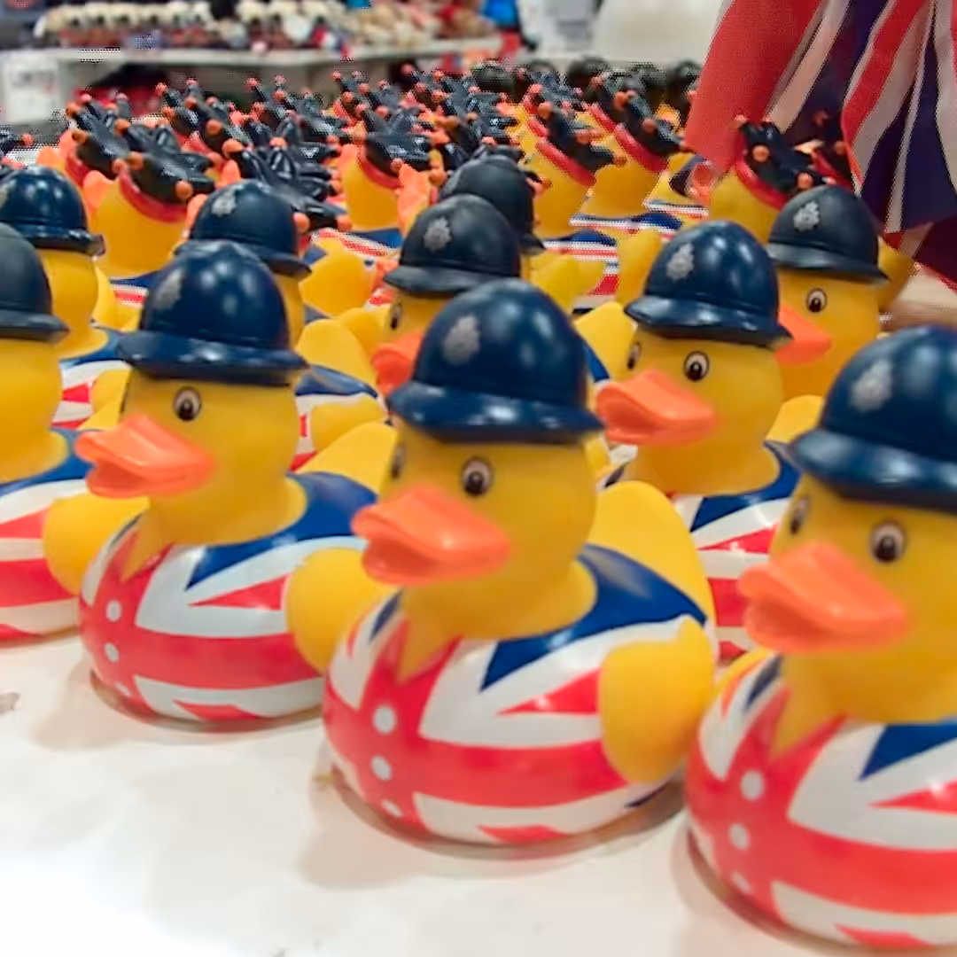 Ducks UK Police [Lytro]