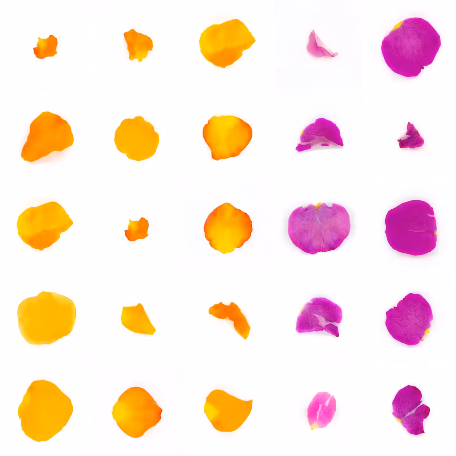 Infinite Petals 5x5#20311