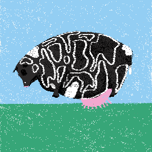 cows: cow #80