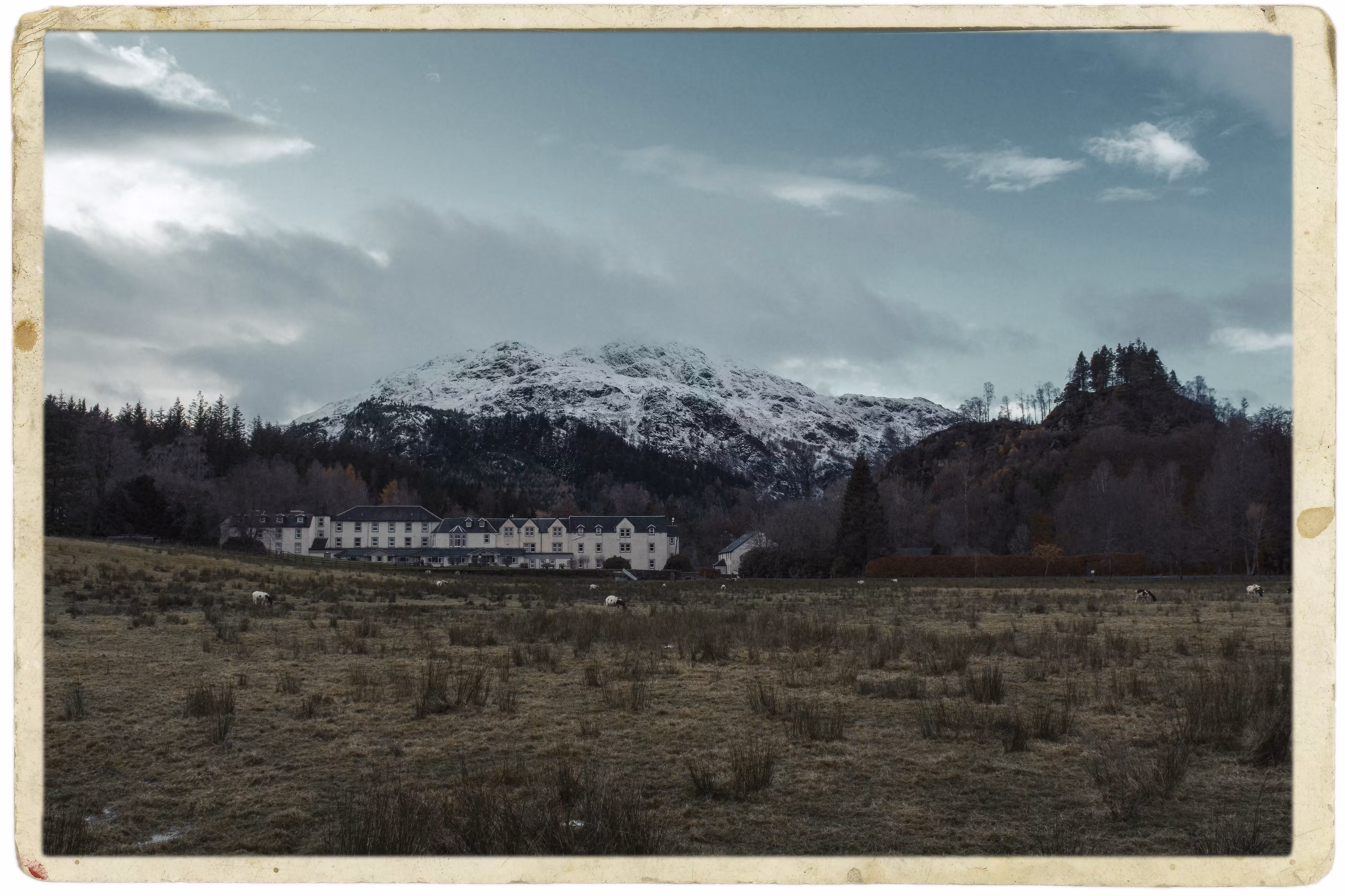Snowy Highland