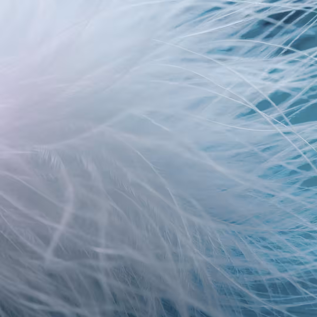 Feather Flow