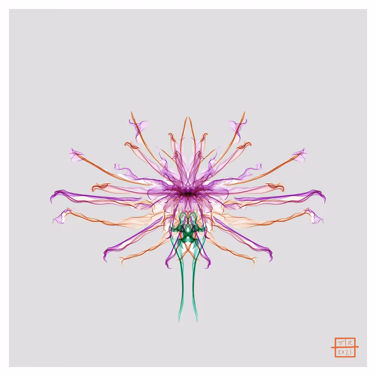 Pink Devil Dahlia