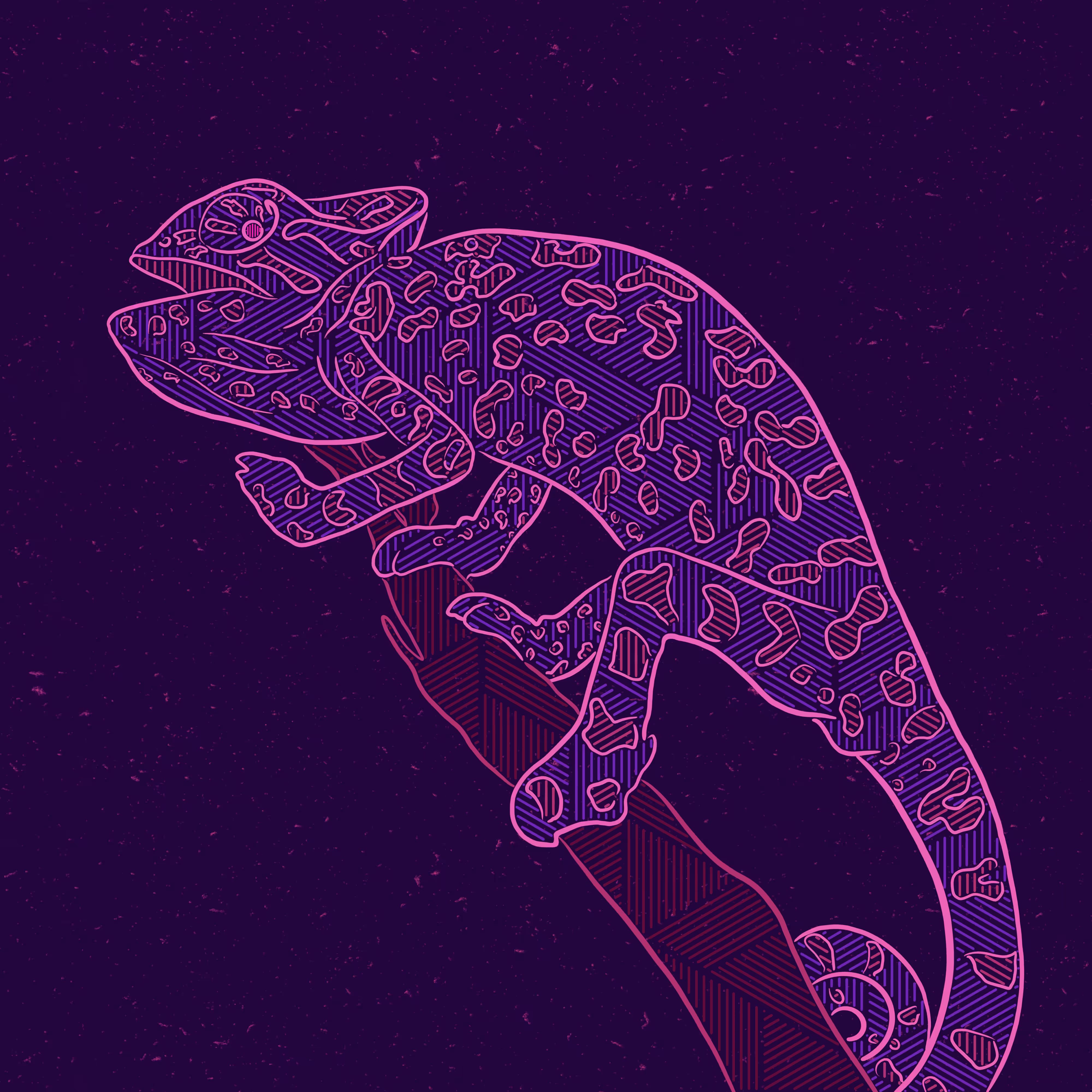 Chameleon la#03
