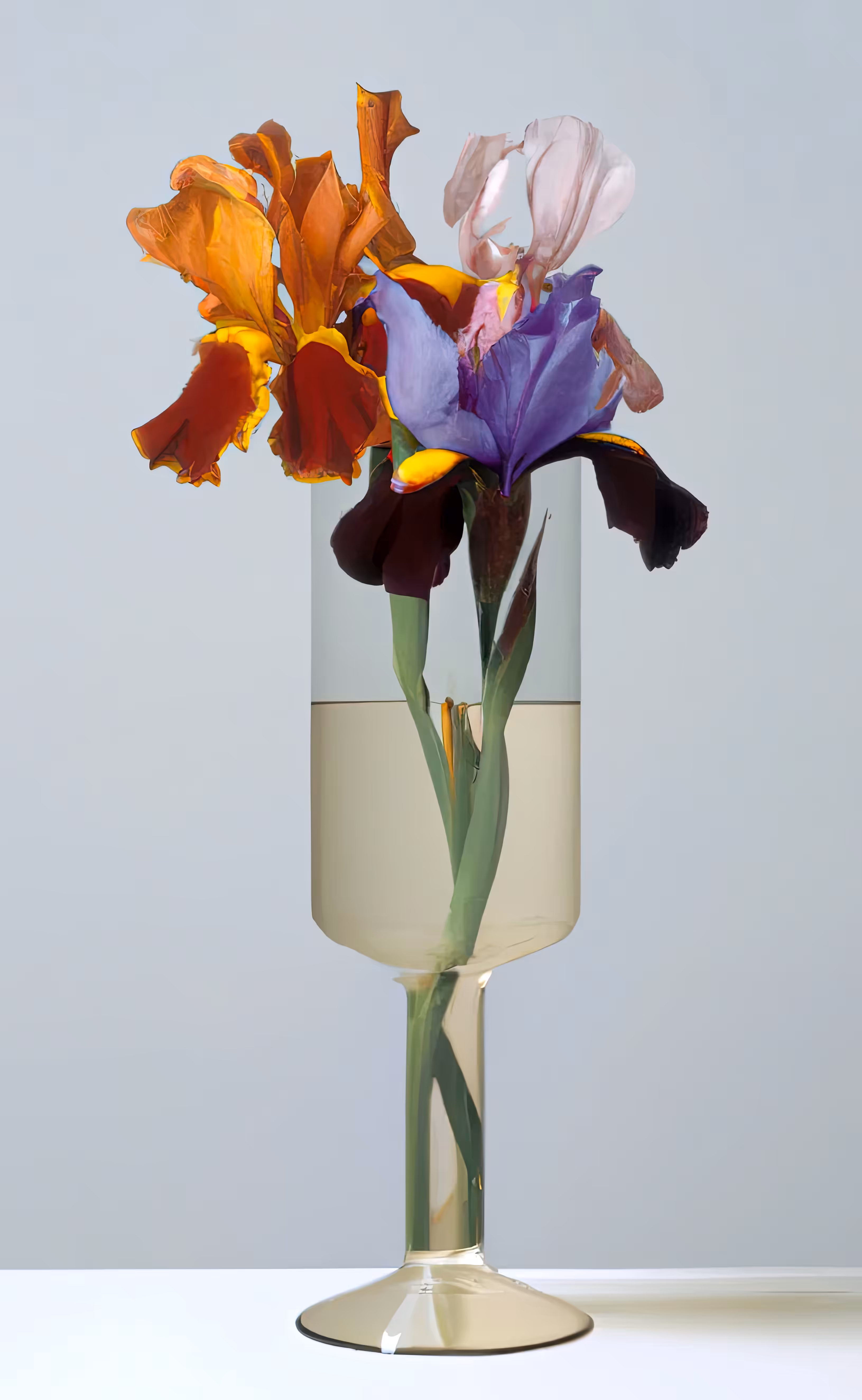 FLEURS [36]