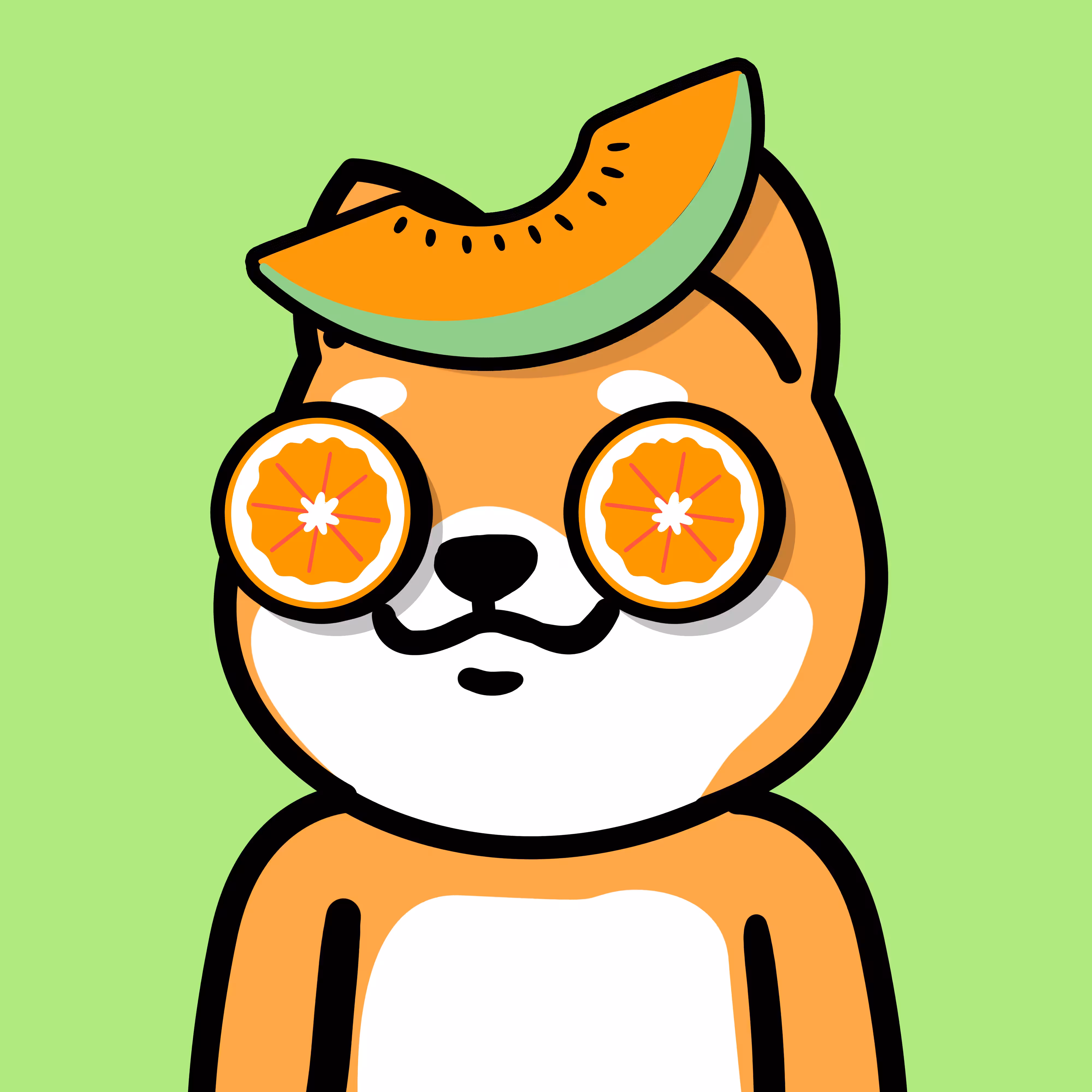 bobo Shiba #219