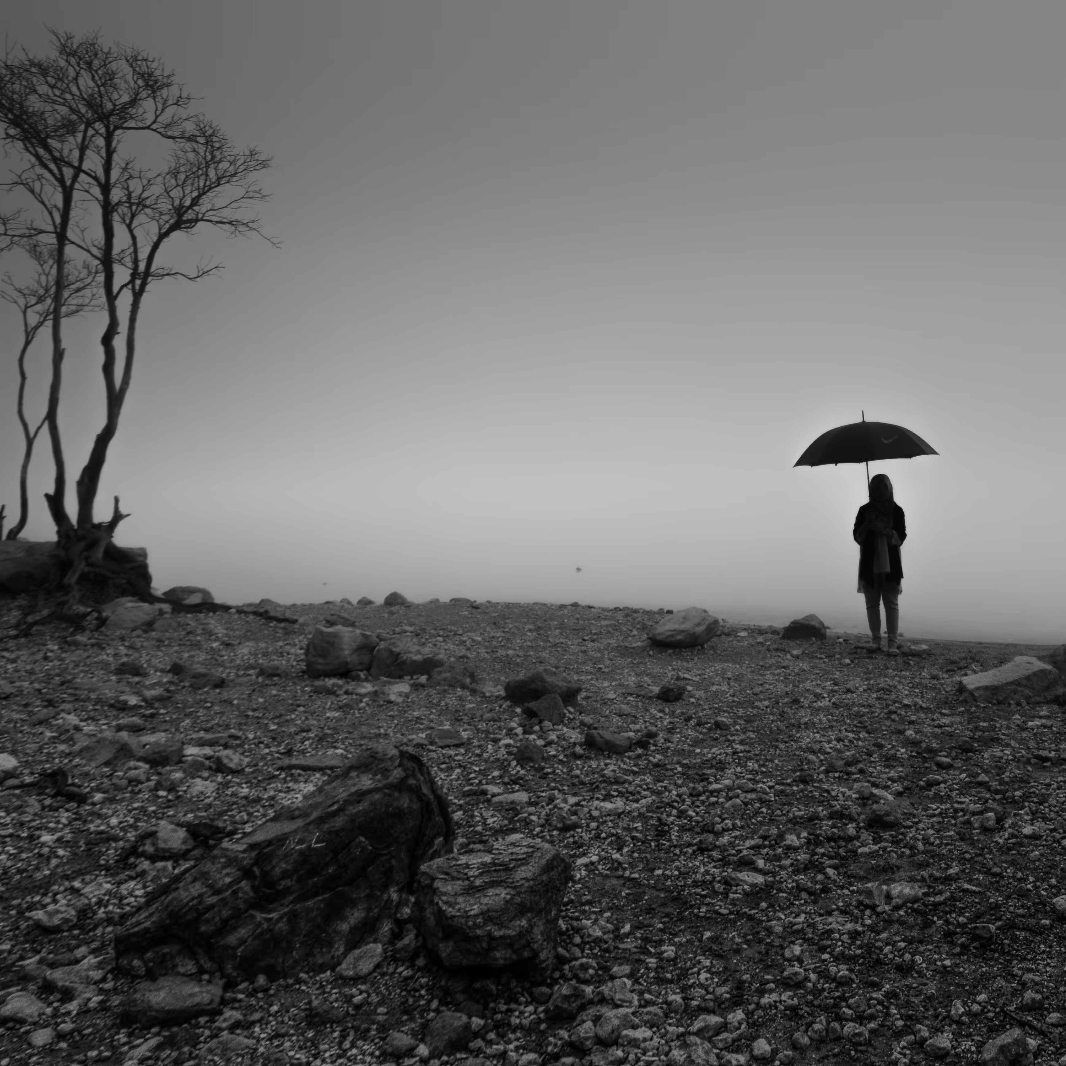 Lonely Umbrella Girl