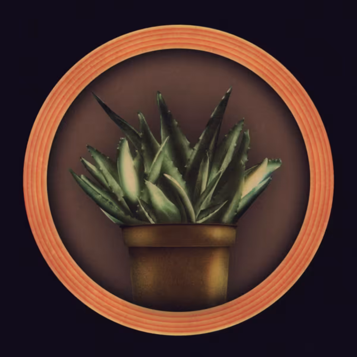 ALOE
