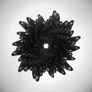 Infinity Animations: Curlium