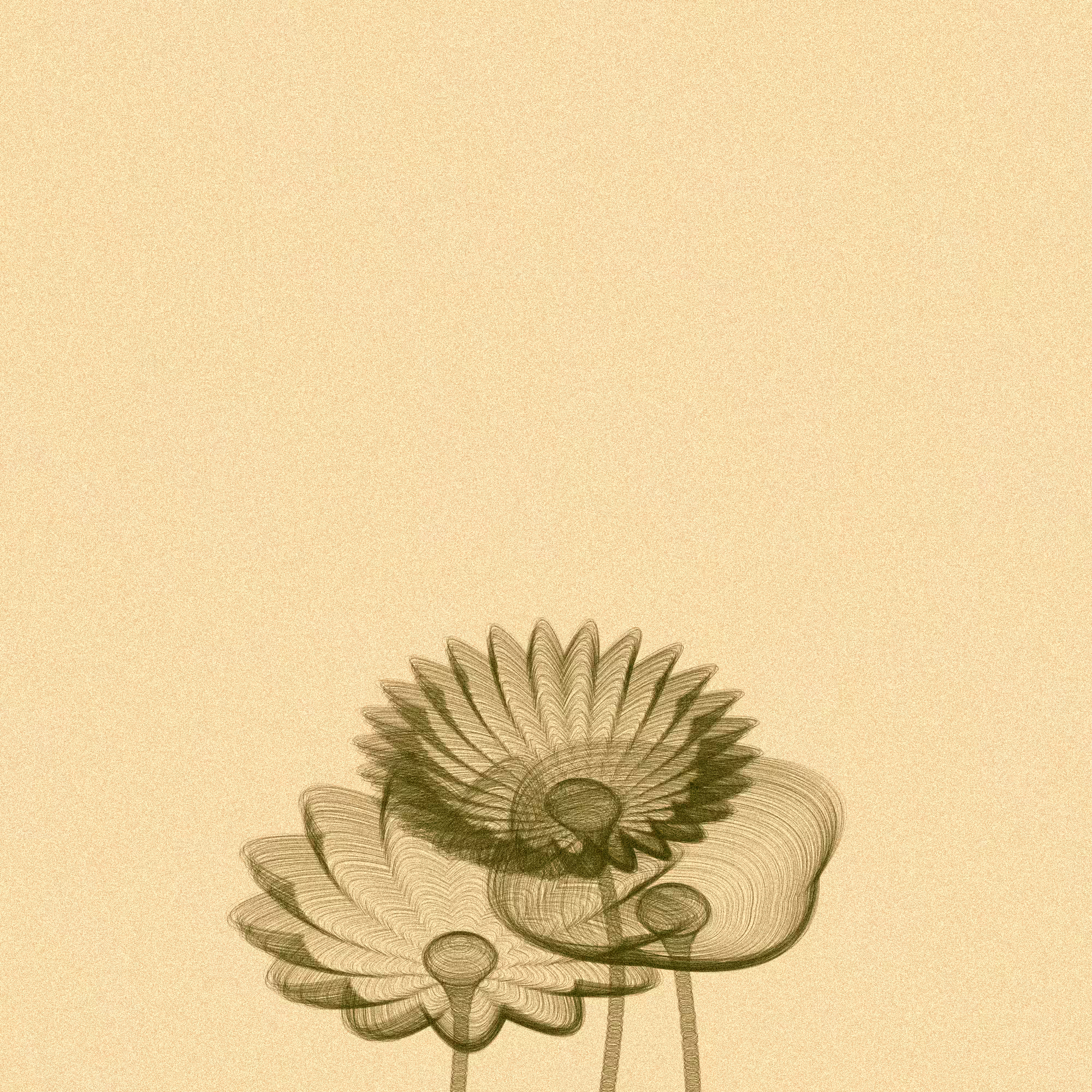 Code Flowers #93