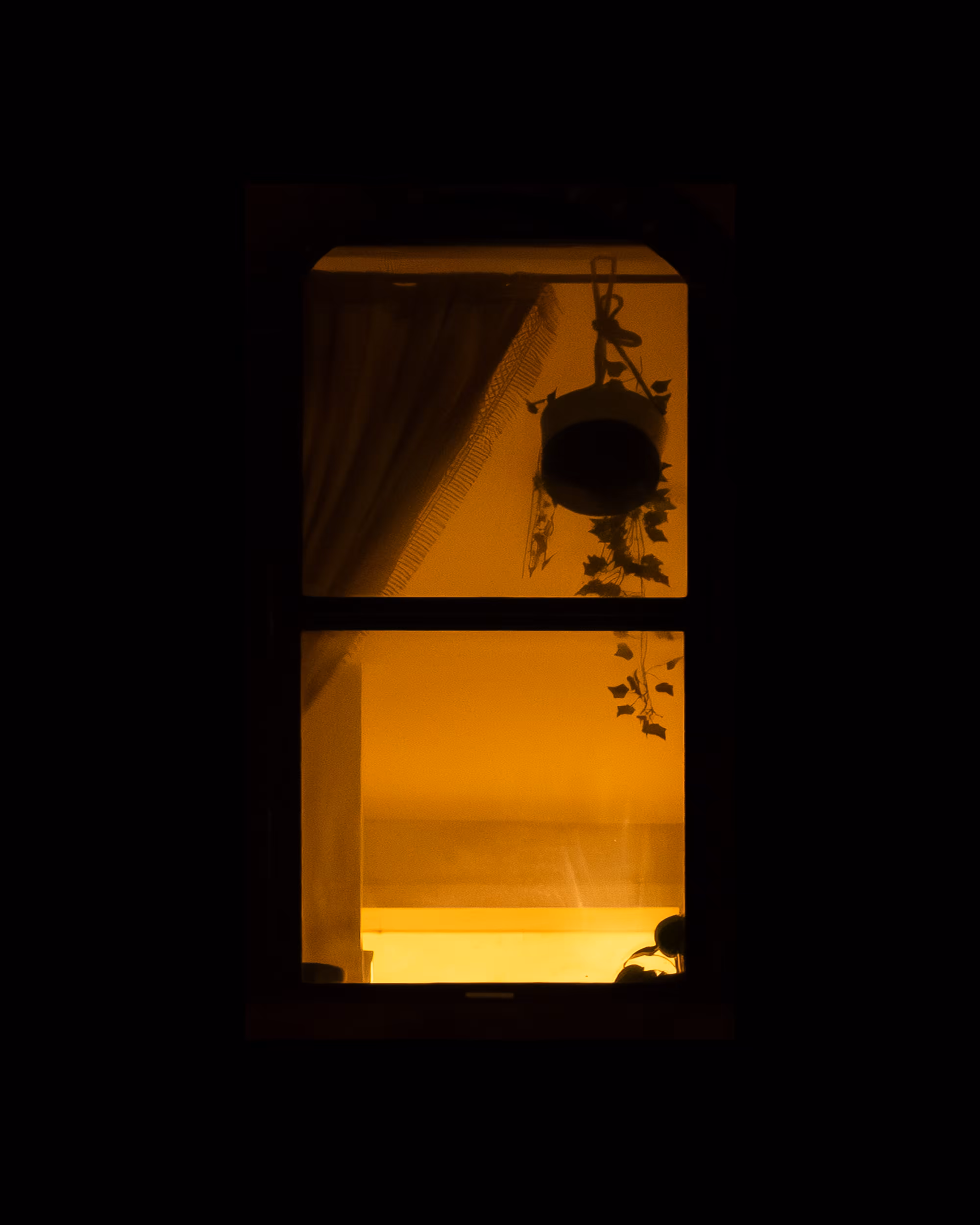 WINDOWS // NYC: WINDOW 153