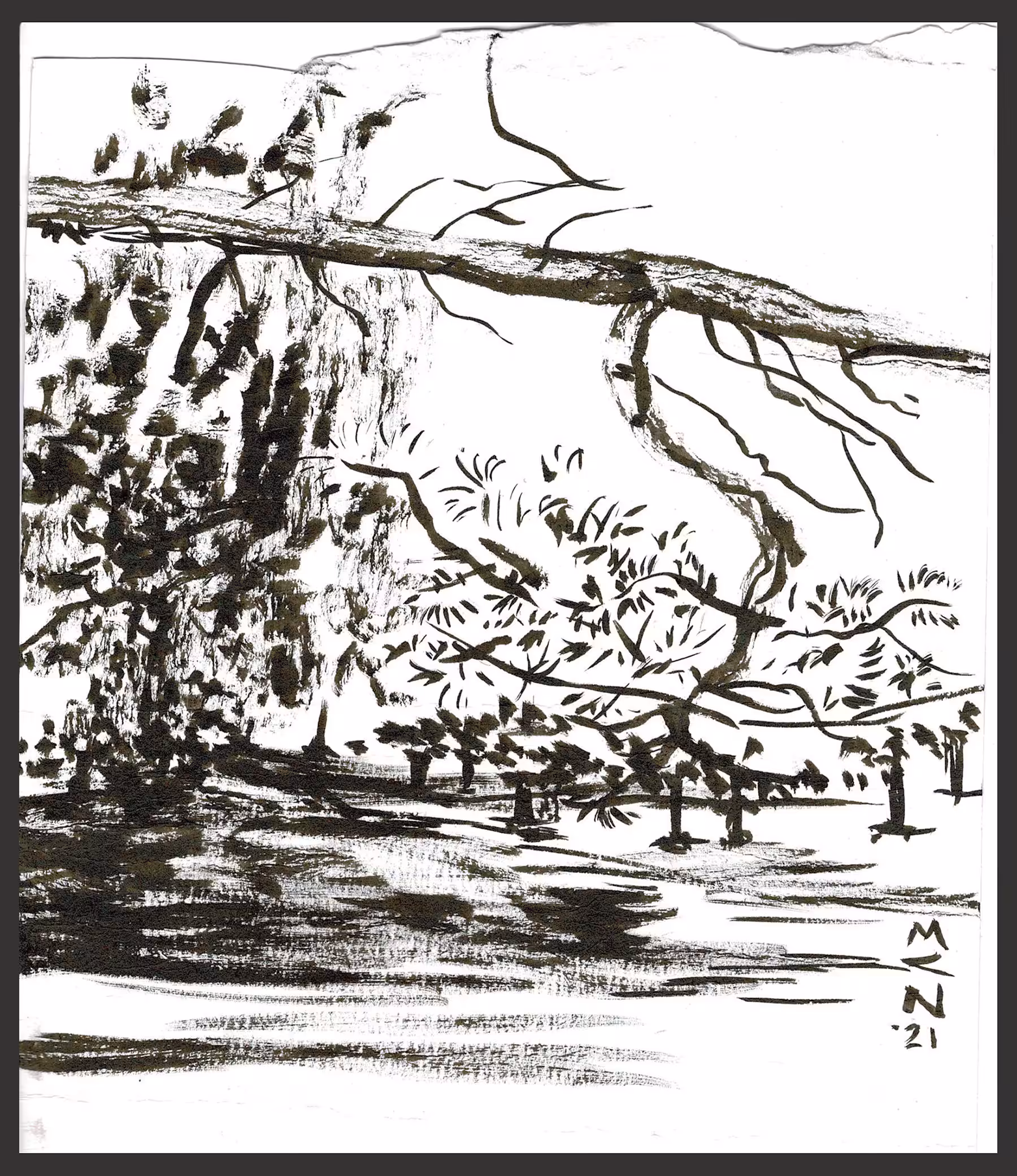 Touching Grass / Tocando a Grama: Branches and Trees