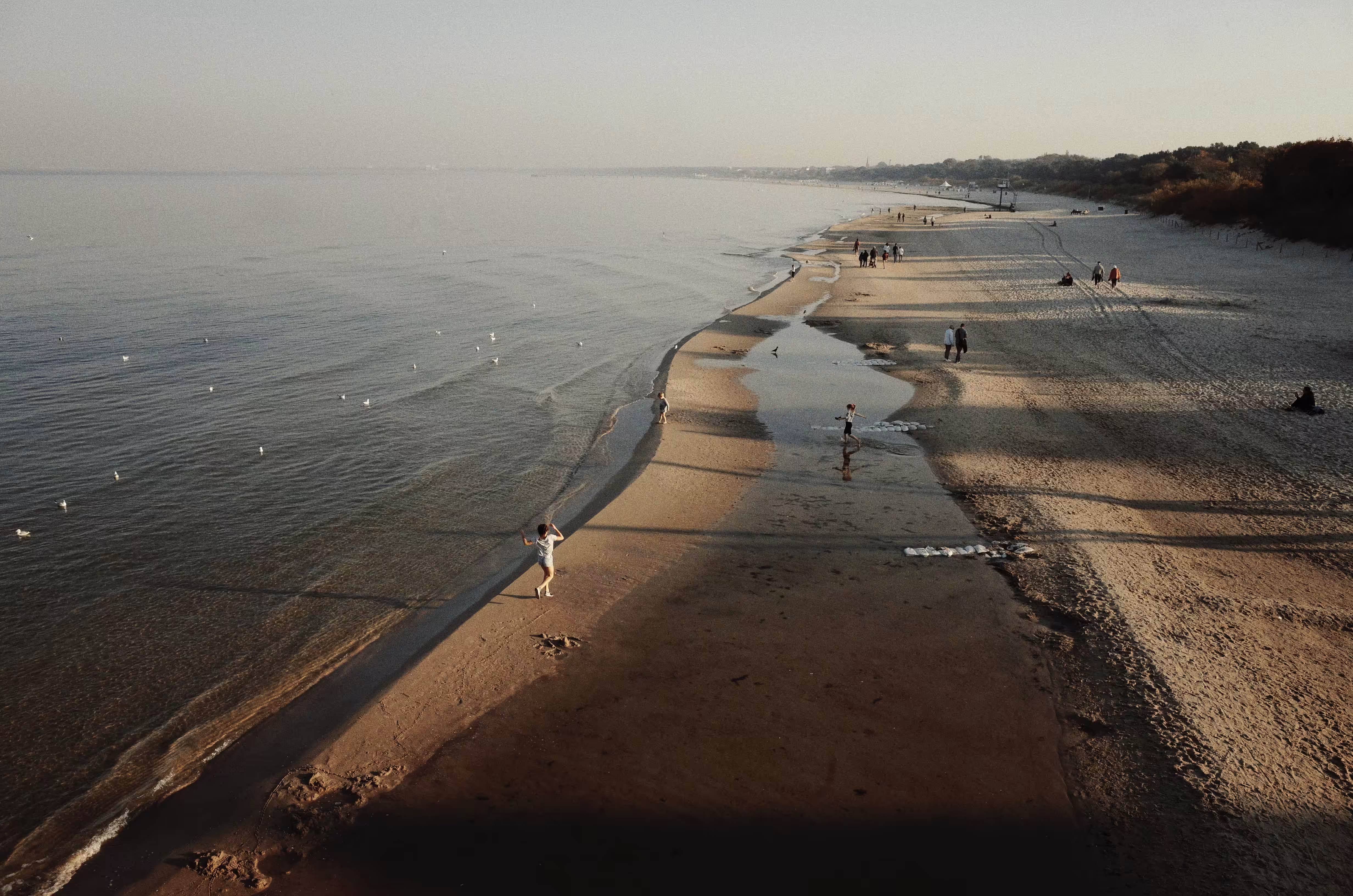 long shadows on the beach