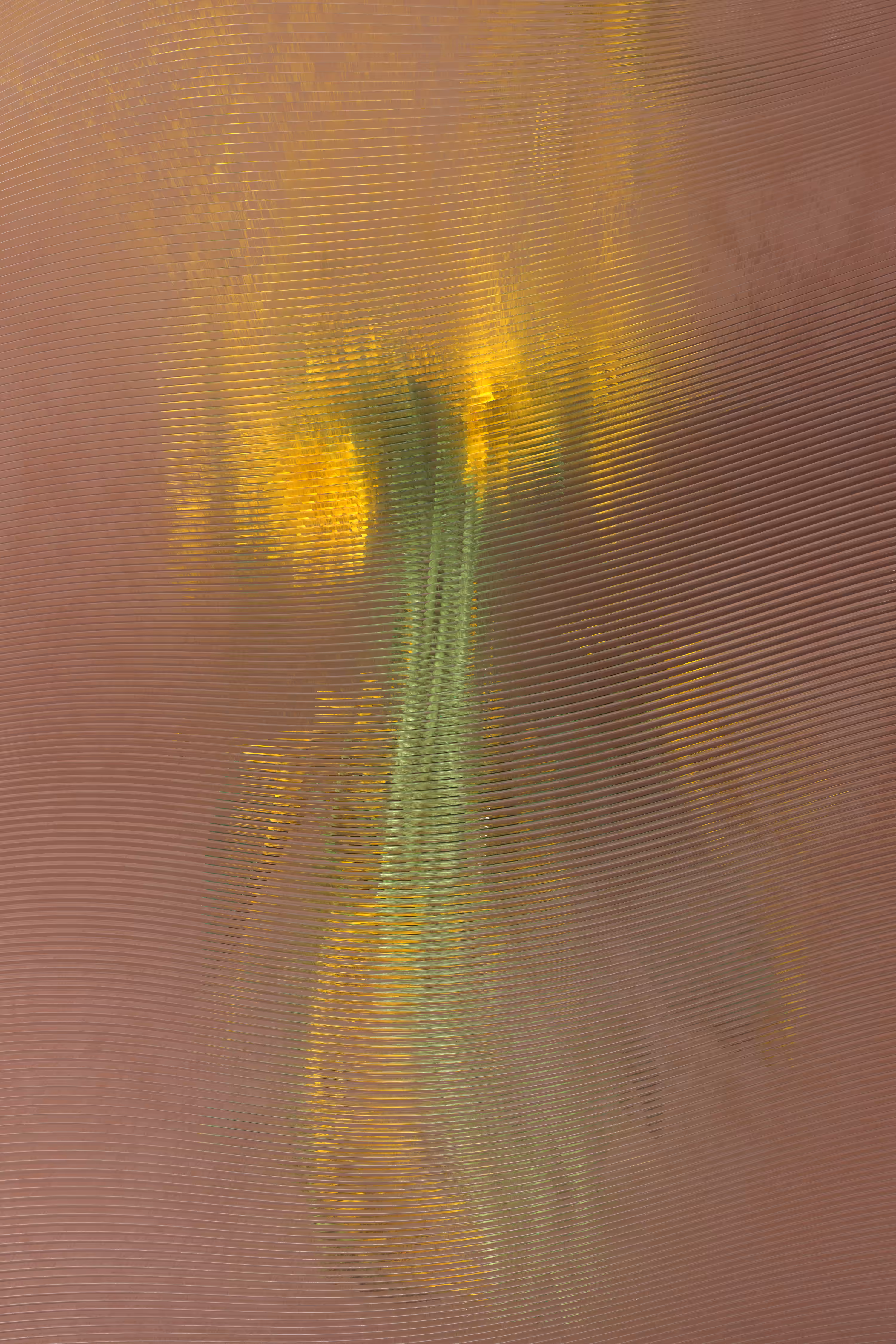 Disruptive Flowers 02