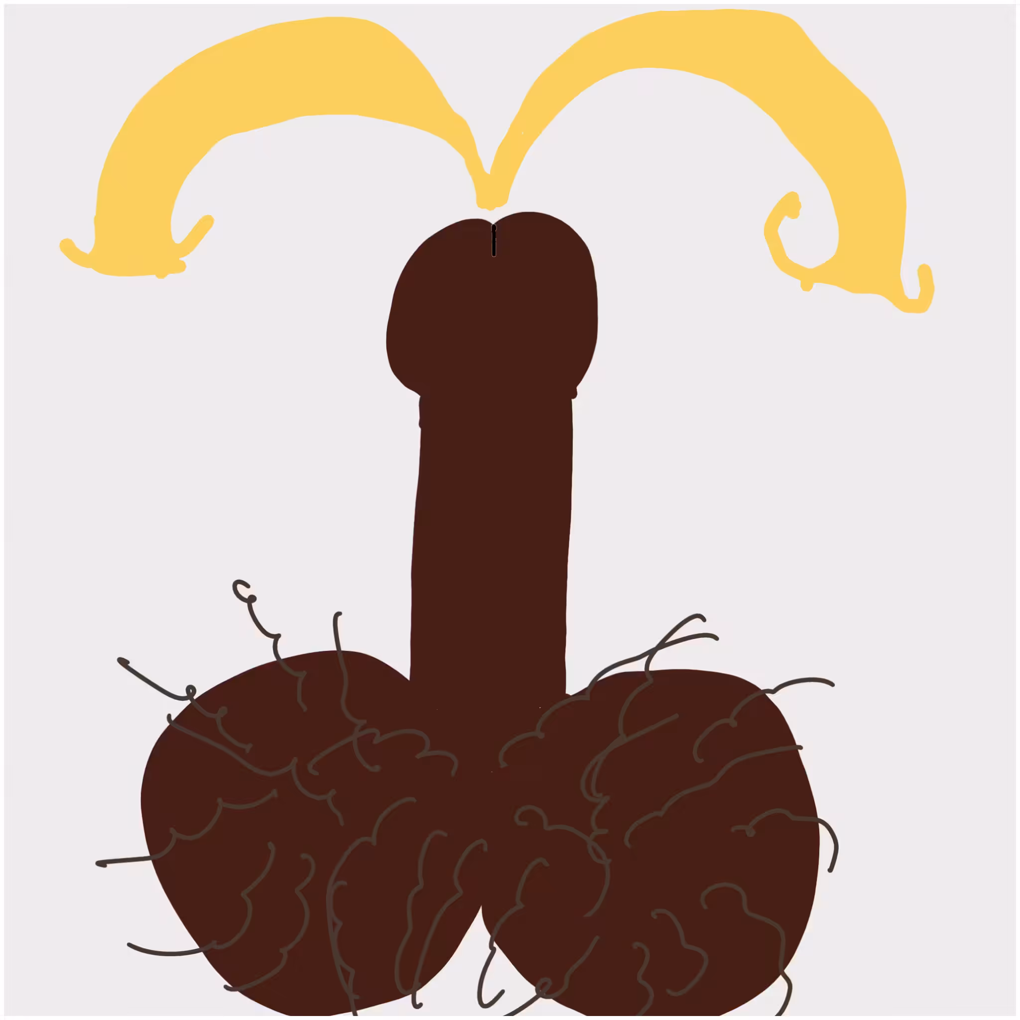 Dickgenerative Art #64