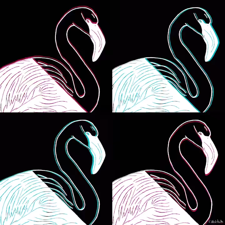 POP ED. FLAMINGO