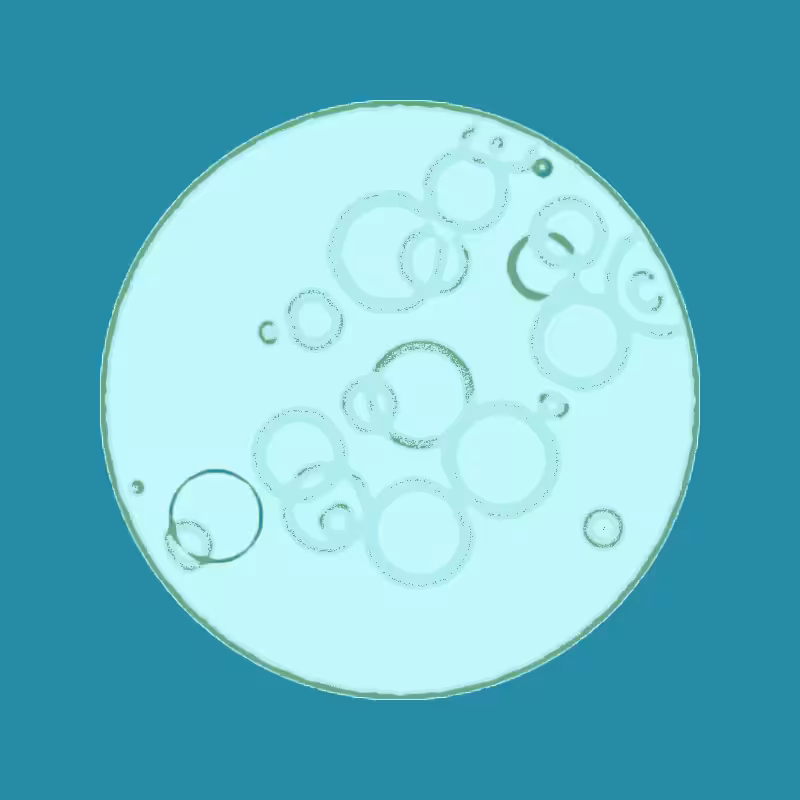 Cheap Petri Dish #57