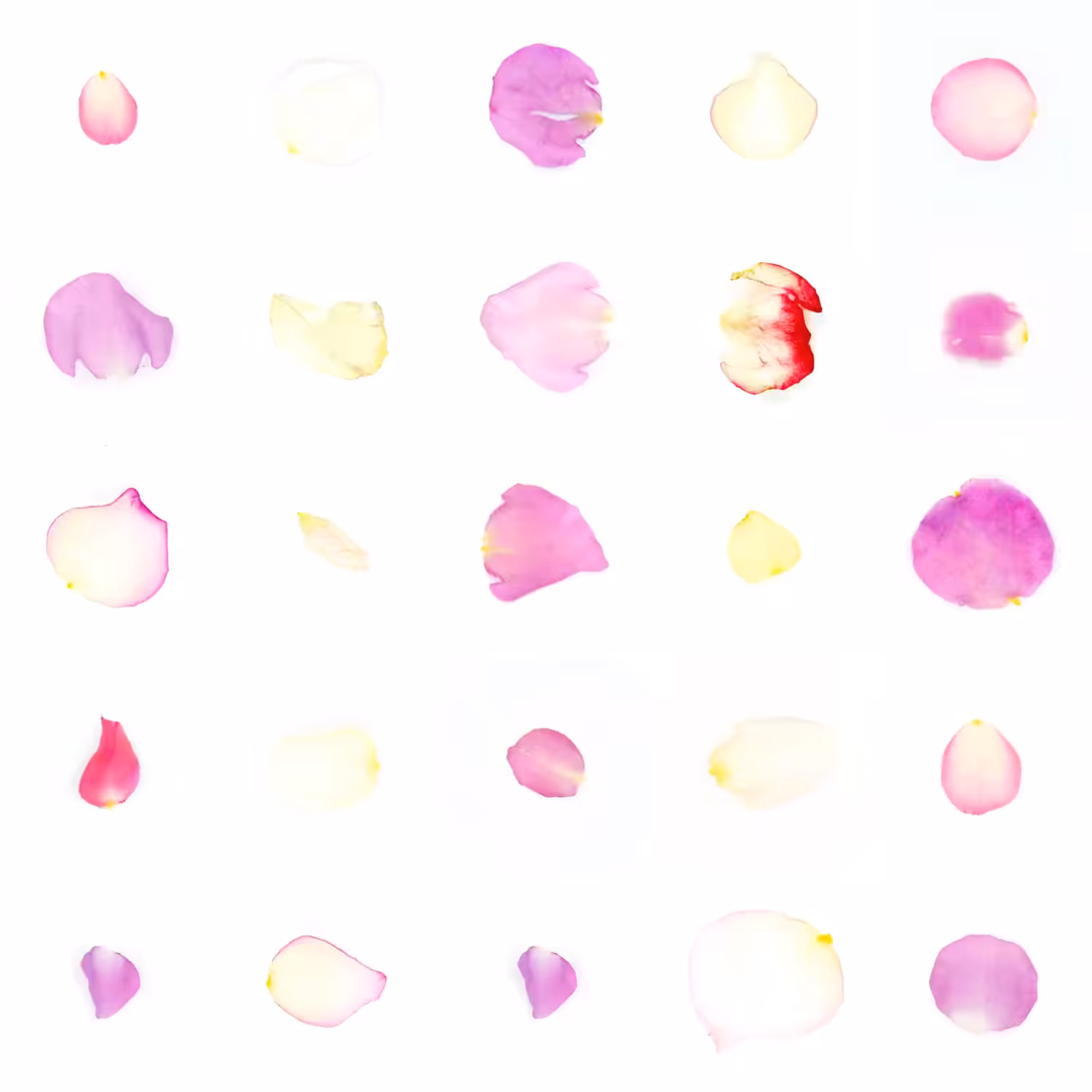 Infinite Petals 5x5#20320