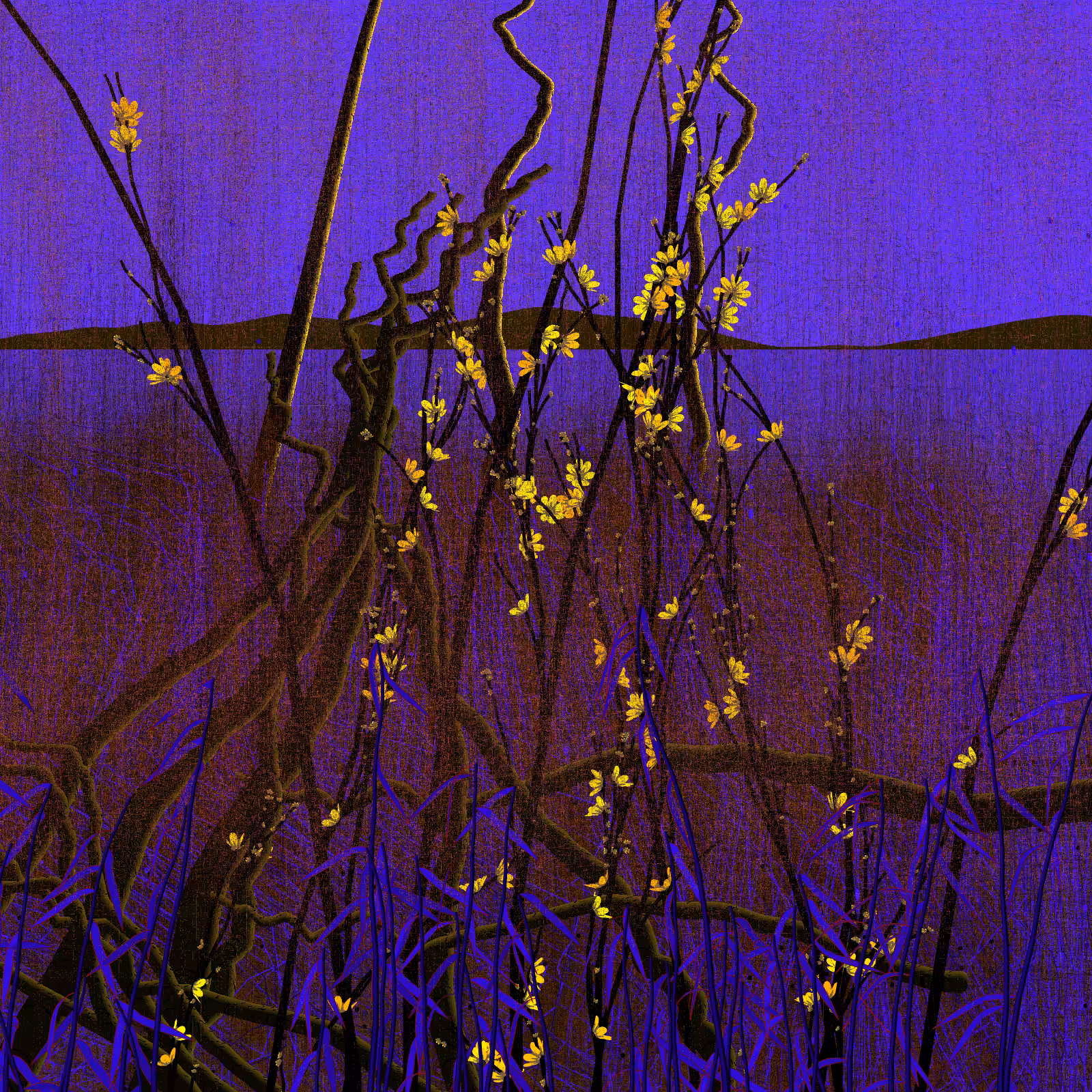 Dry twigs #42
