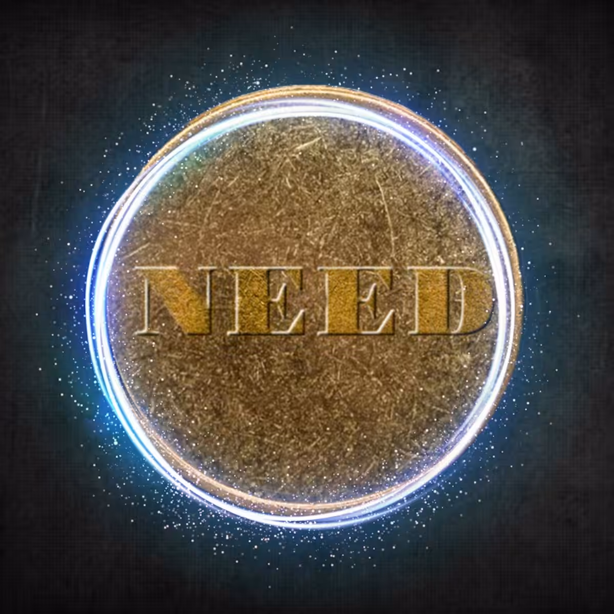 PIECE OF NEED #4