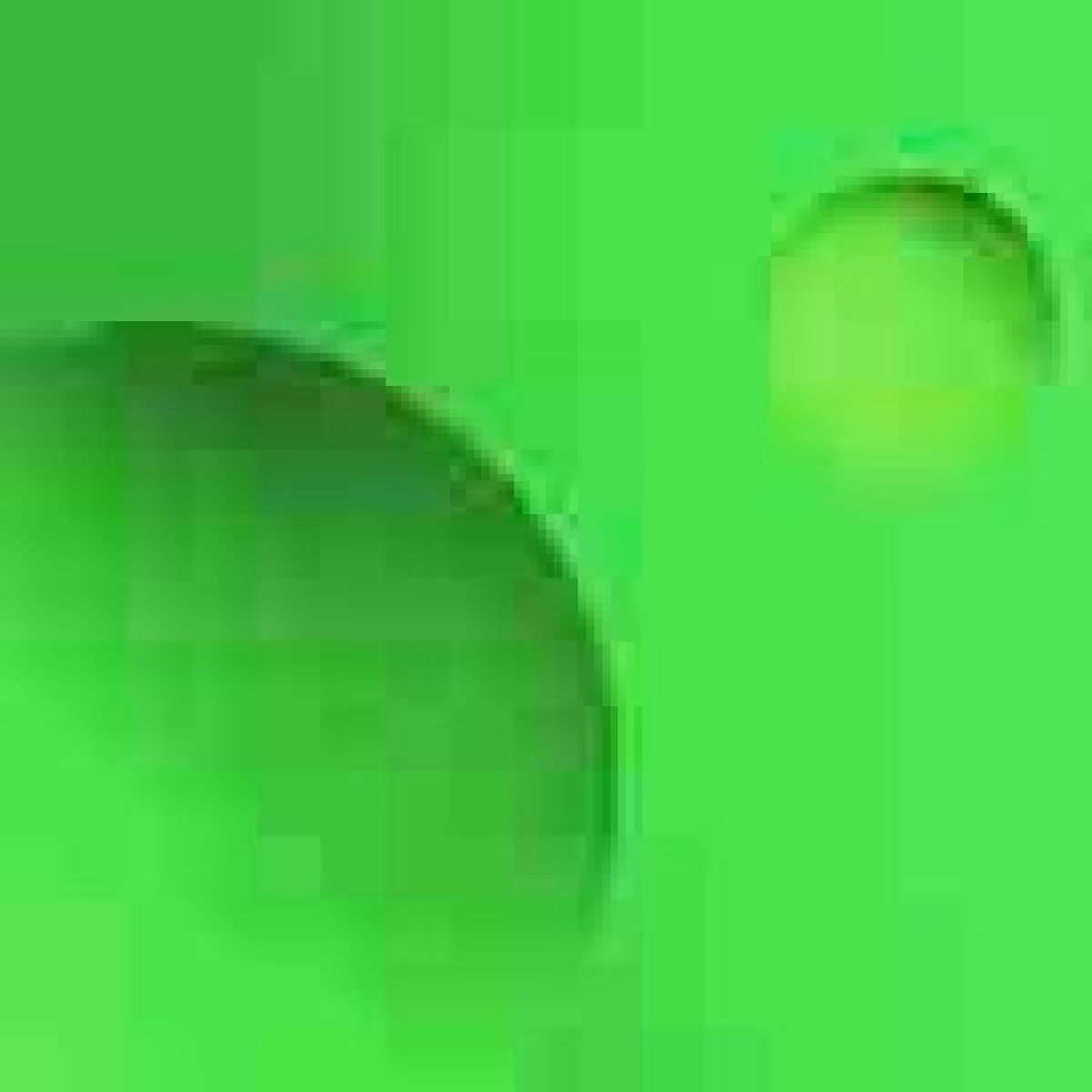 Orbit 776846760