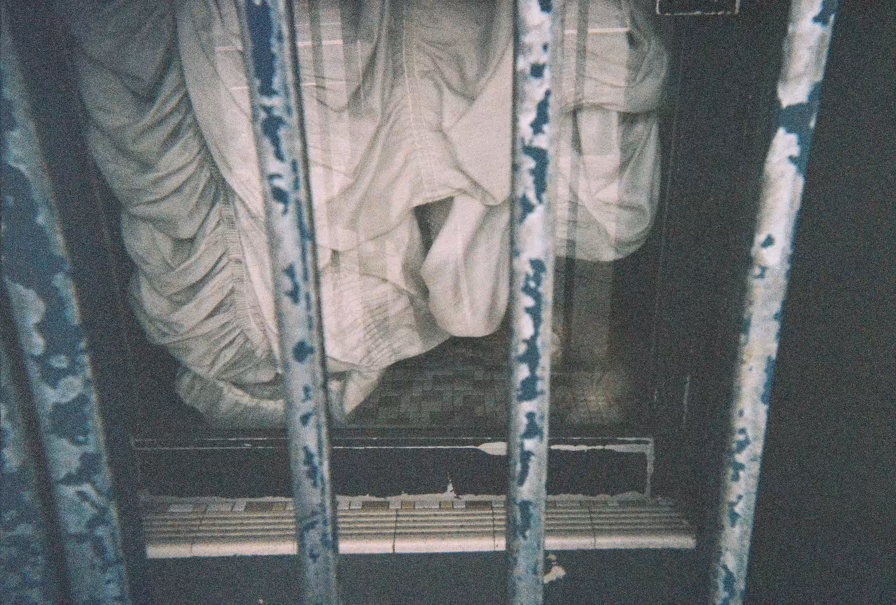 Day231