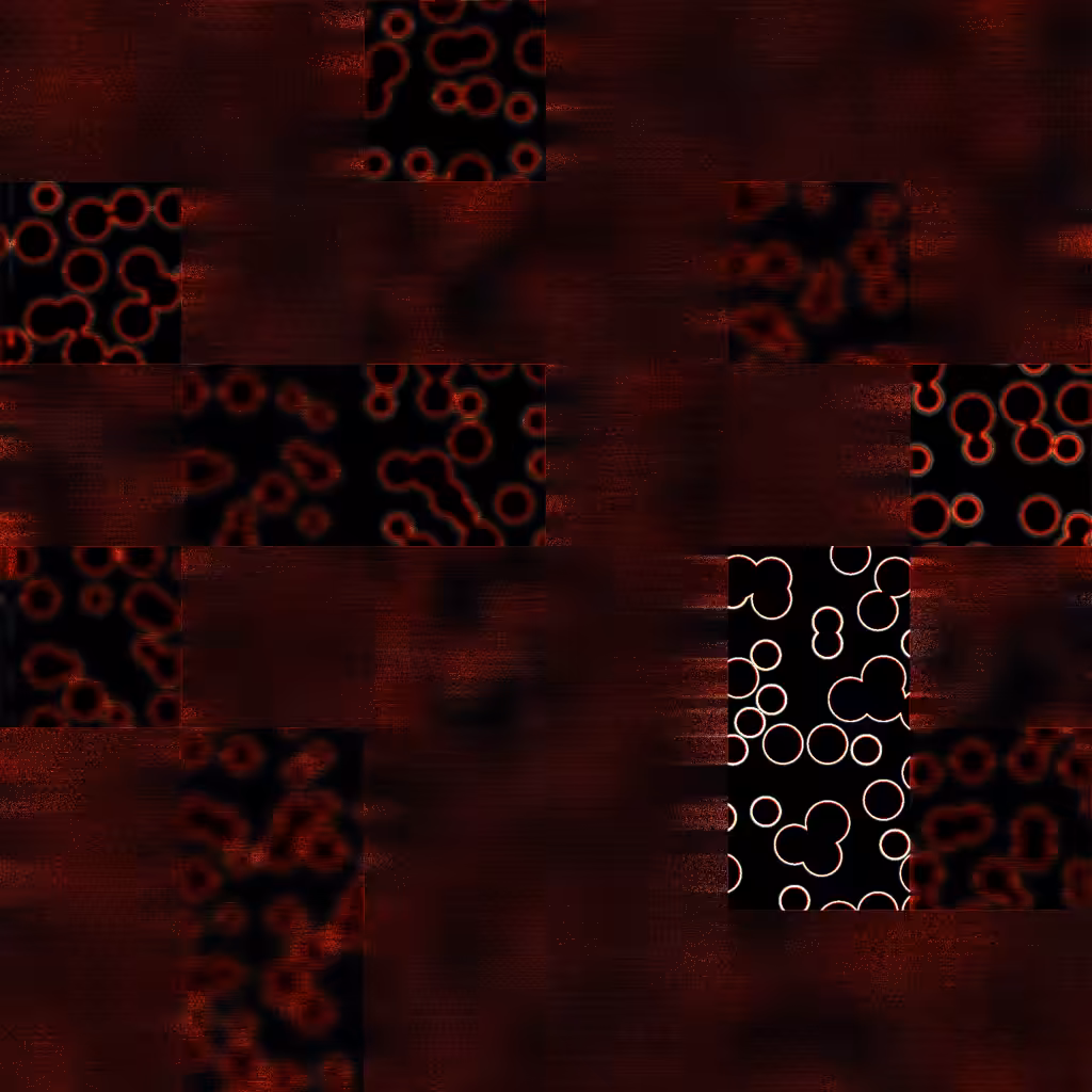 Bacterias #30