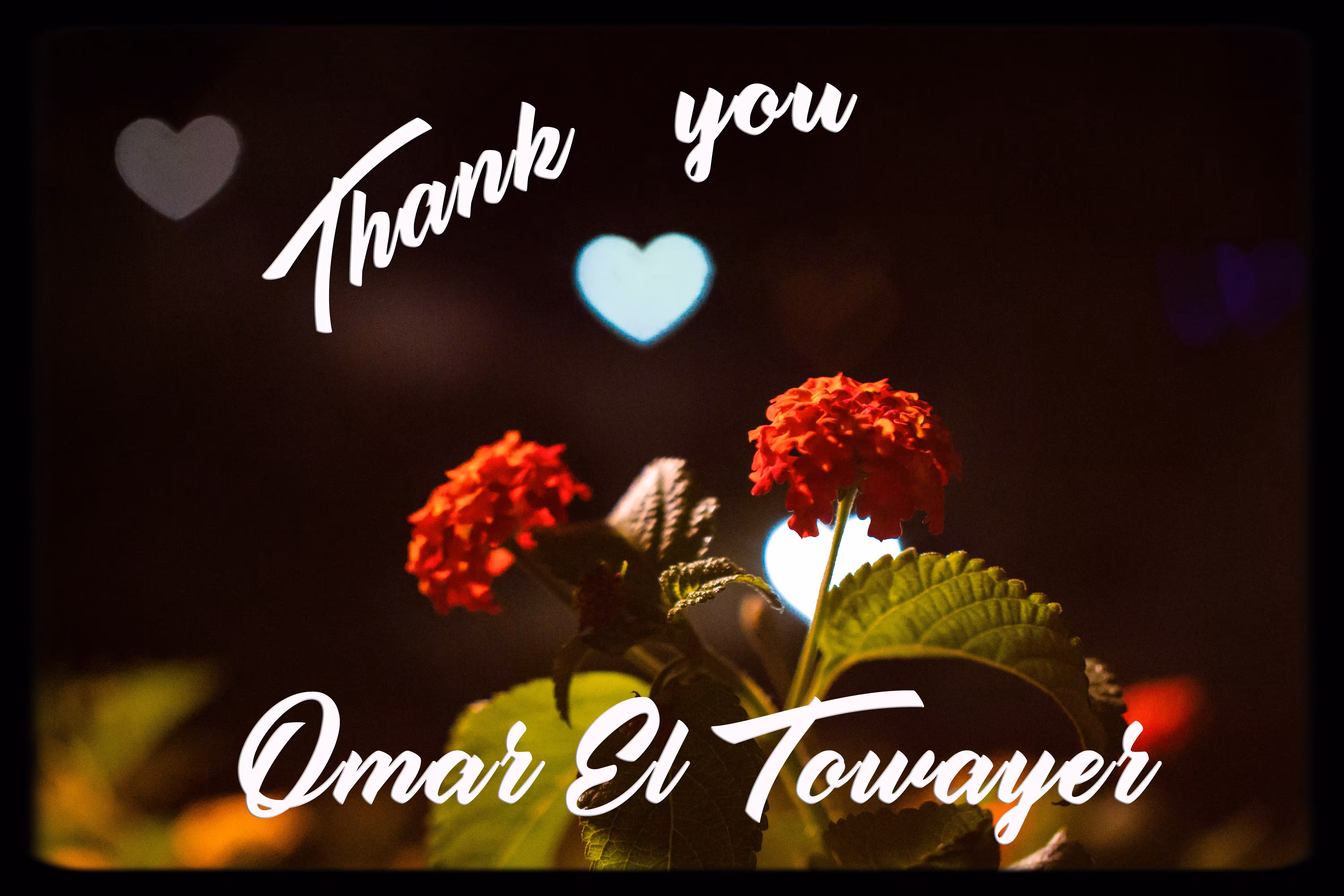 Thank You Omar El Towayer