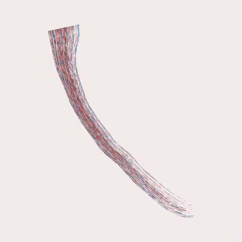 Gossamer #479