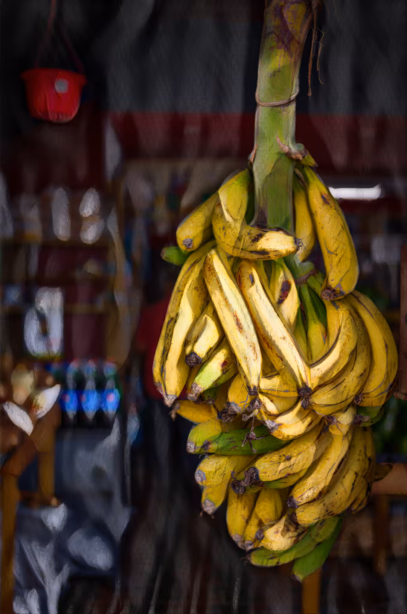 Bodegón