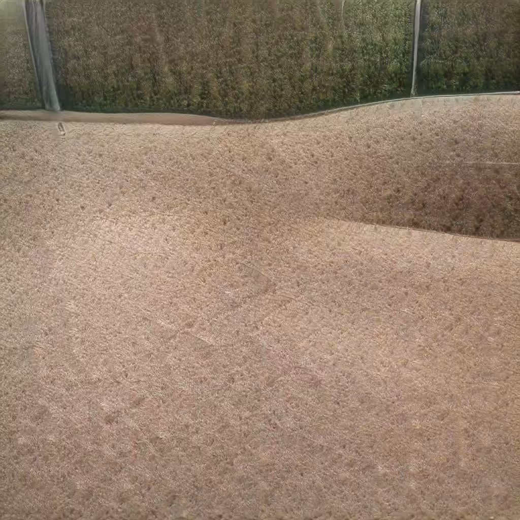 3. Surface