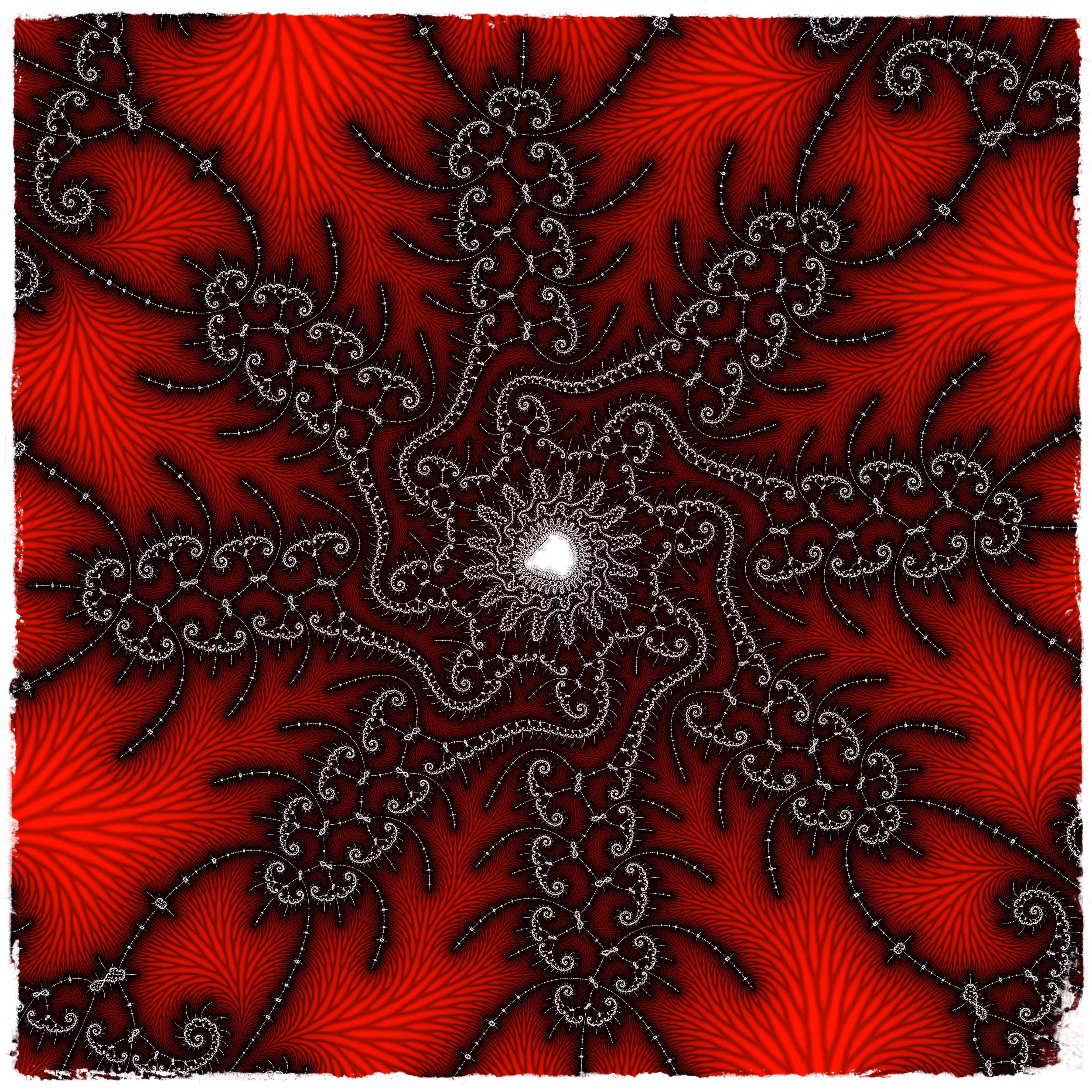 Christmas star