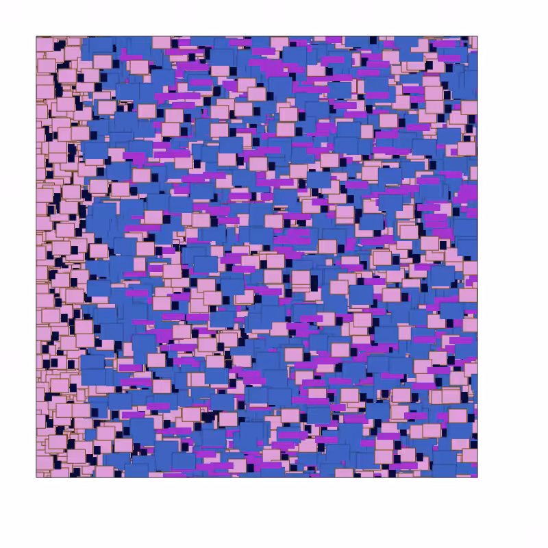 Wild Matrix #432