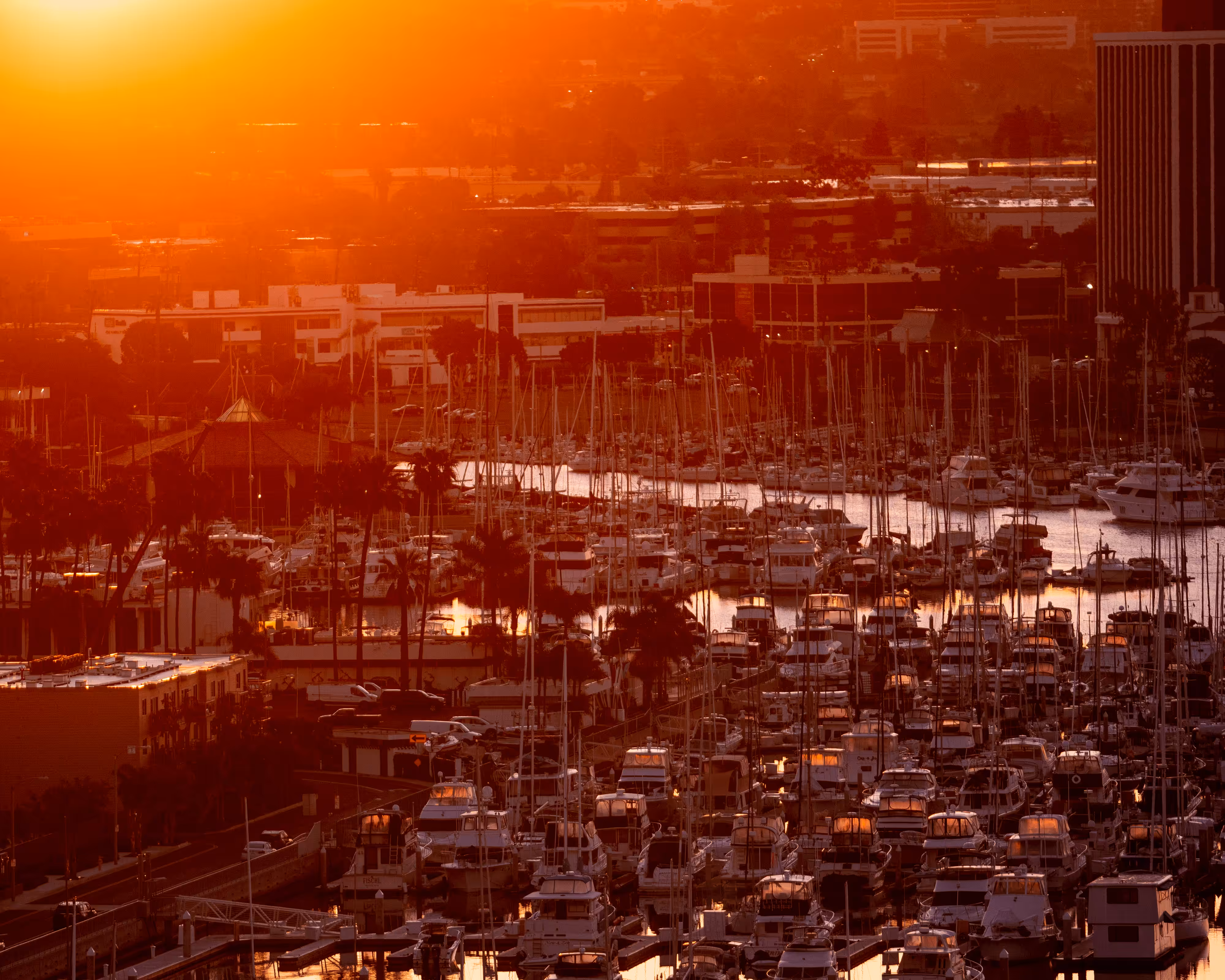Marina Del Reys 