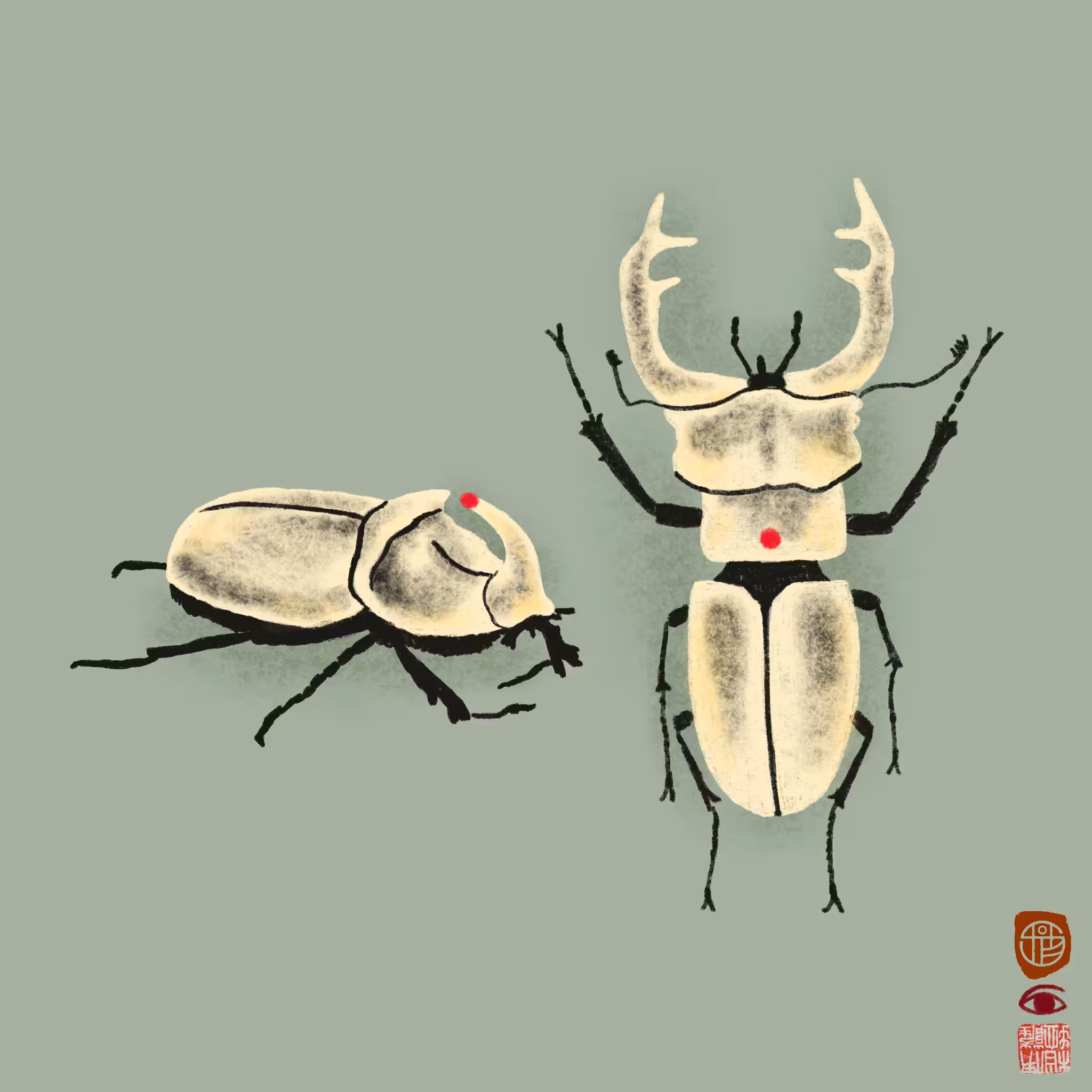 Rodeo posts: stagbeetle