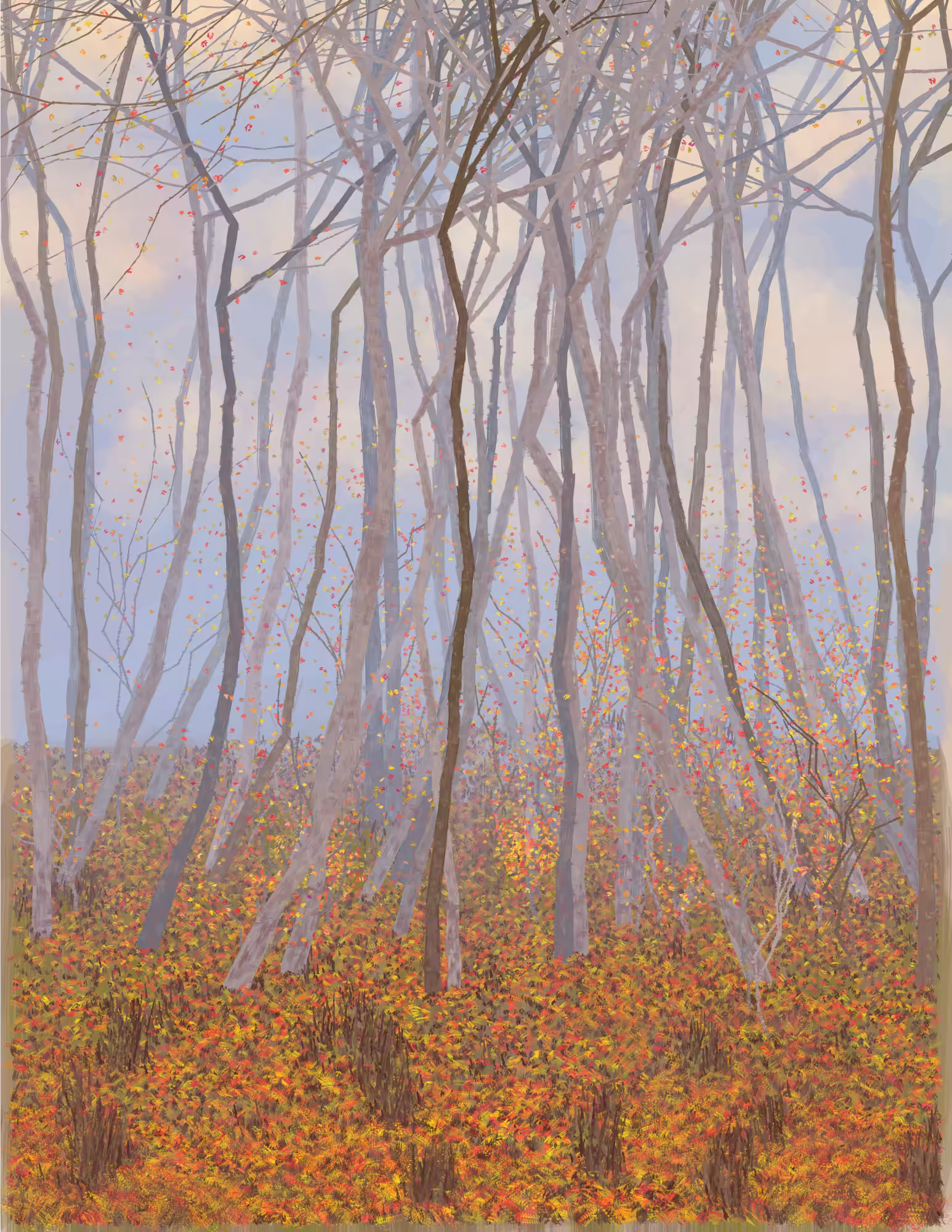 Deep Forest #210