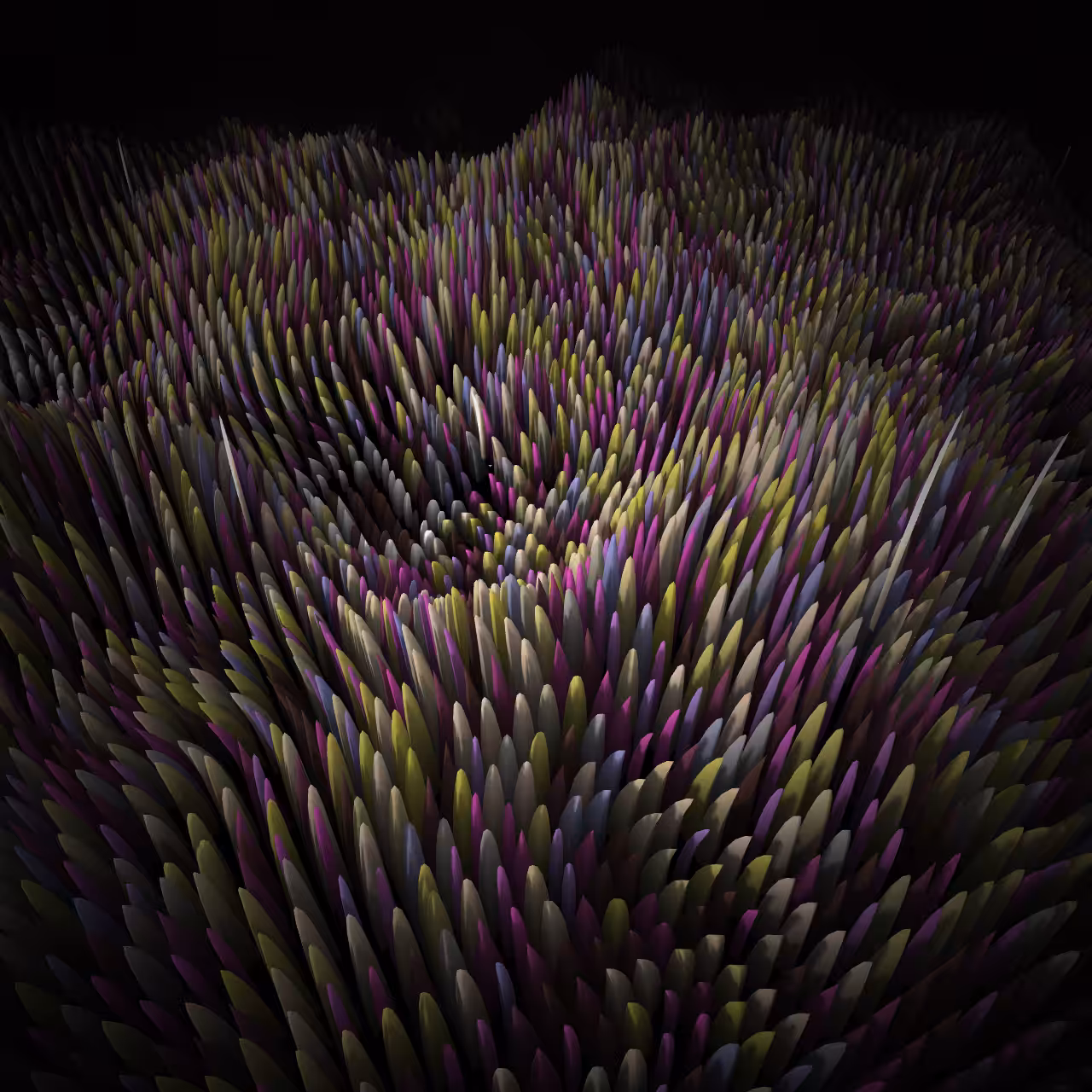 04. flora #51
