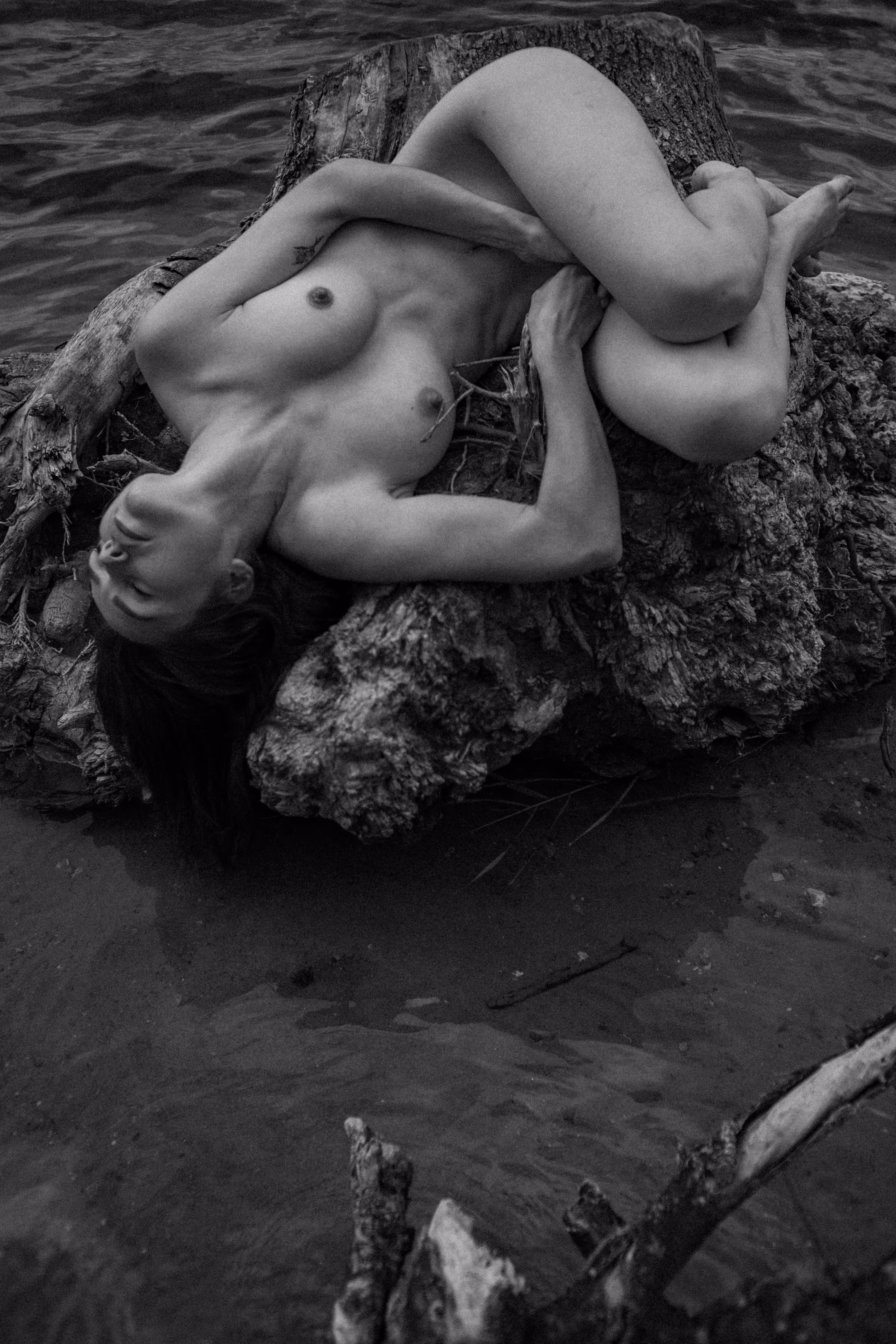 Noir Nude 