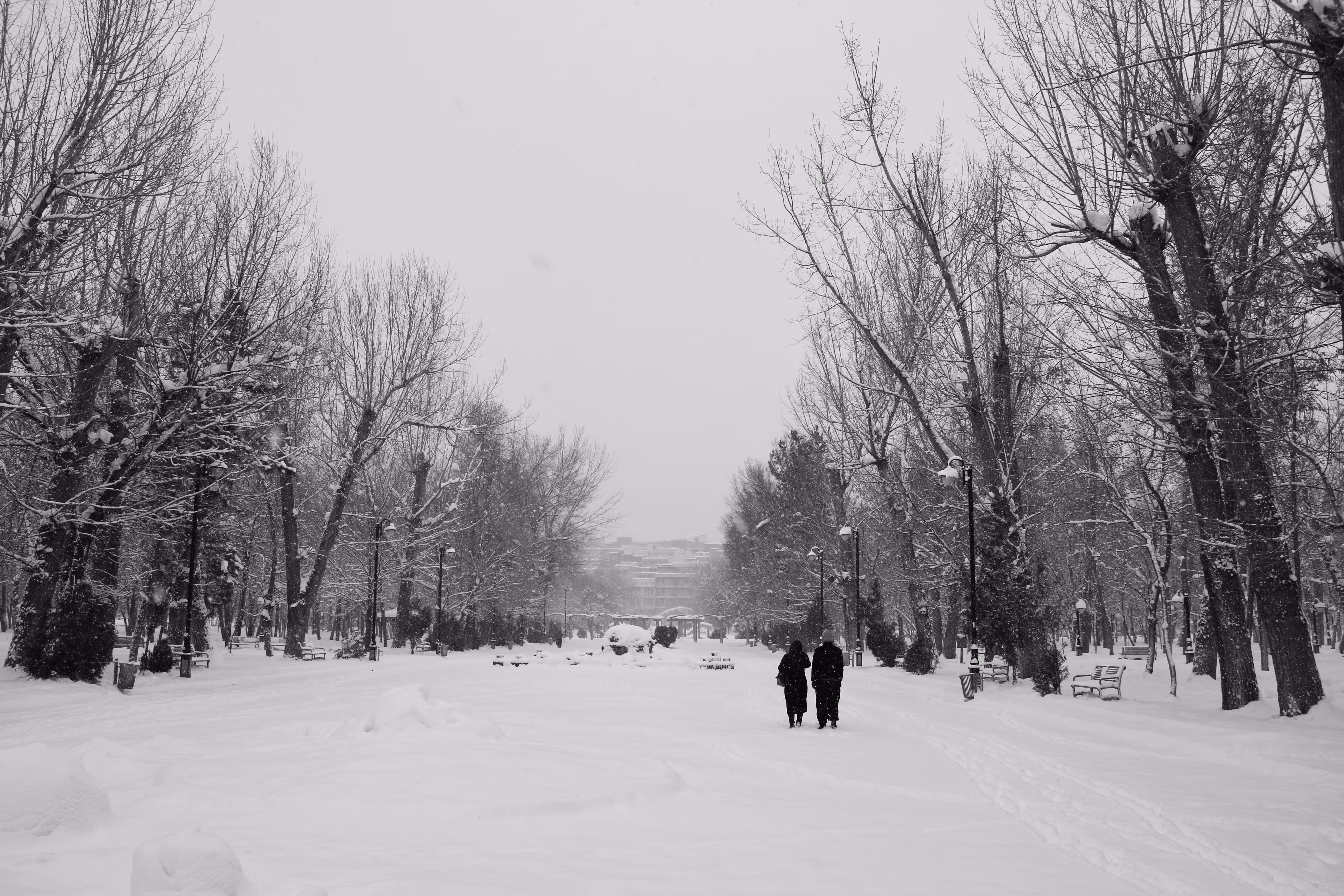 snowy morning