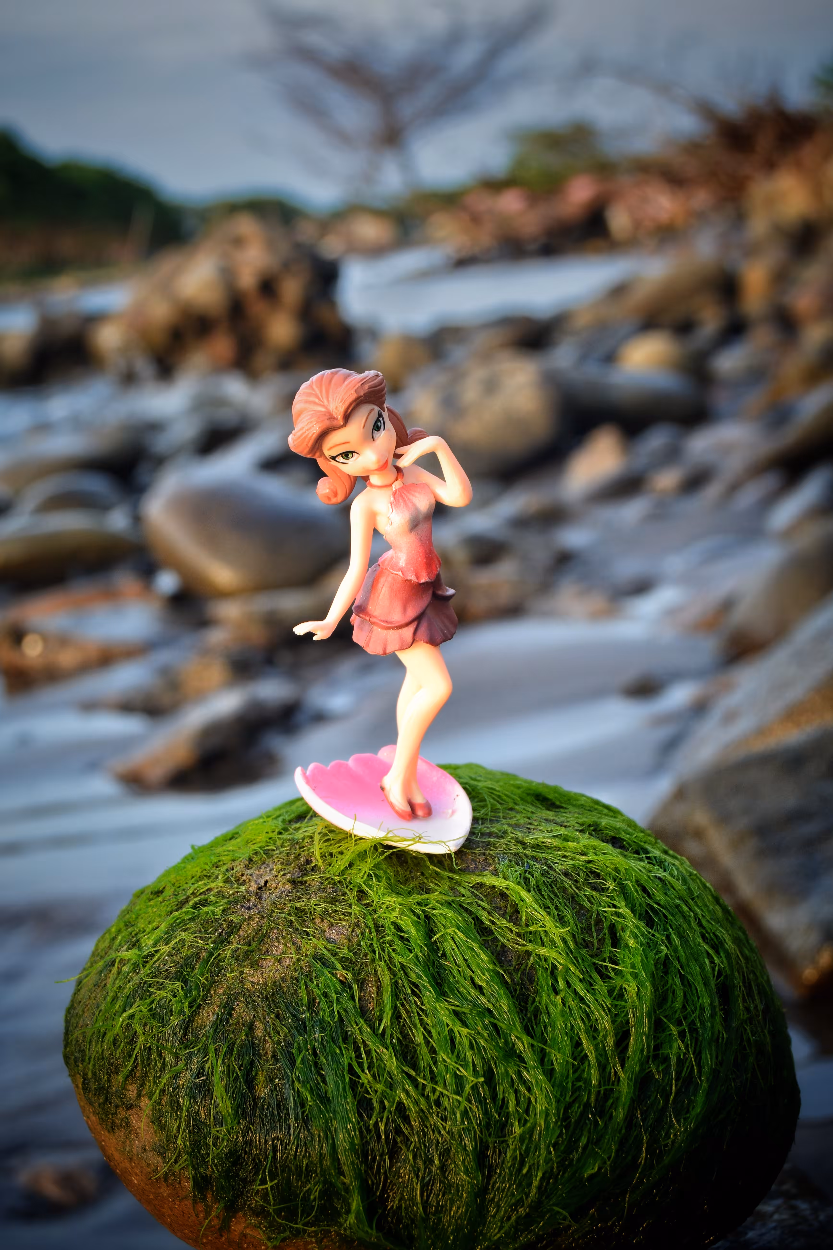 Toys photography