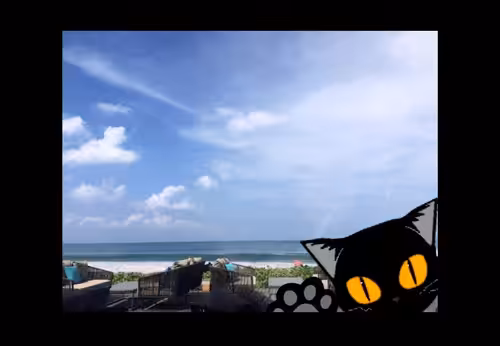 collaboration...: Vacance cat~movie~