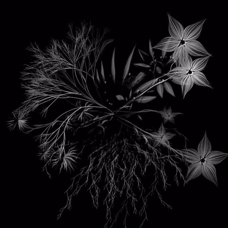 Botanical Ghosts #291